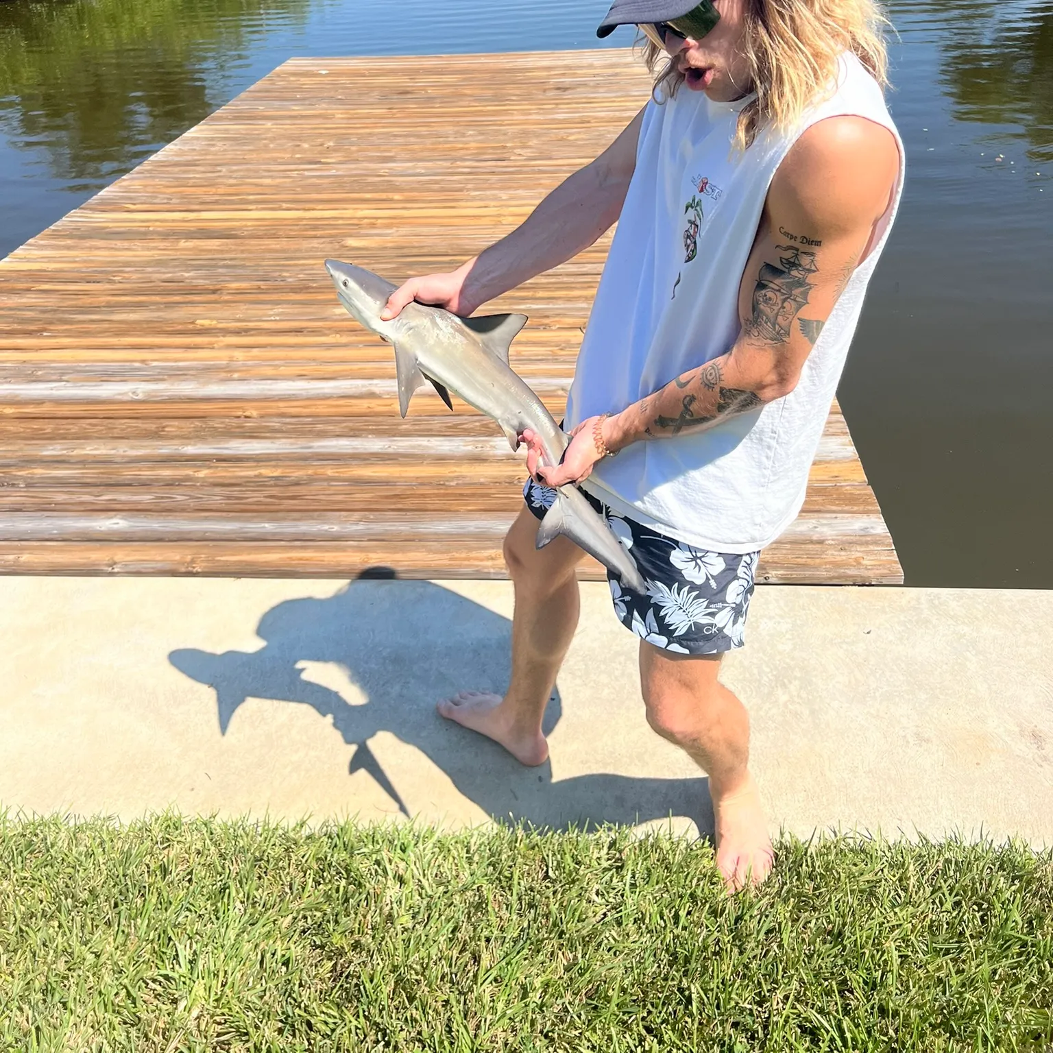 The most recent Blacktip shark catches on Fishbrain