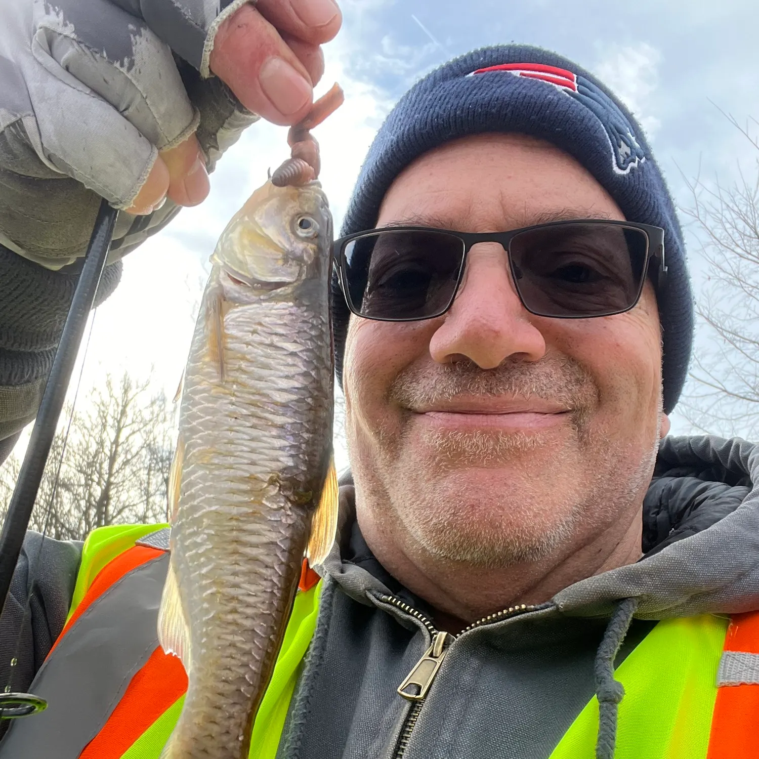 The most recent Striped shiner catches on Fishbrain