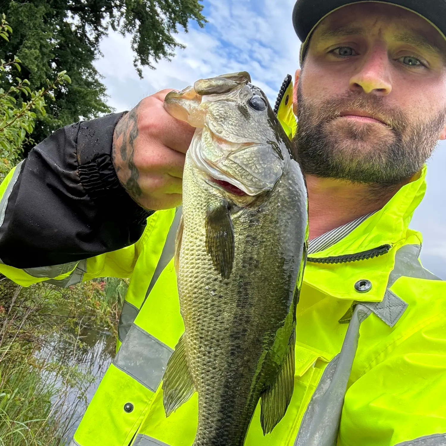Largemouth bass caught on Fishbrain