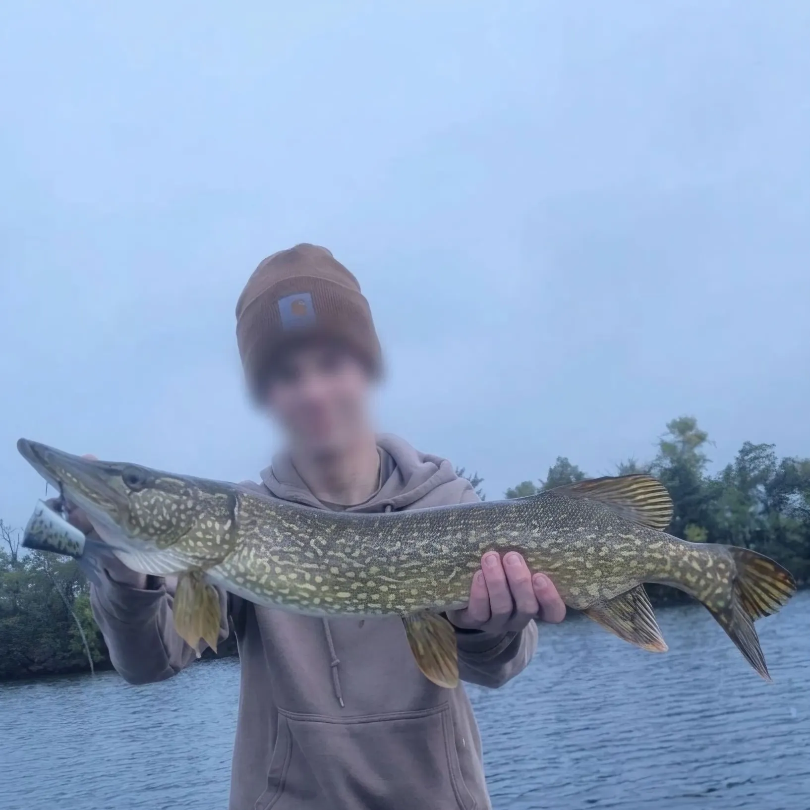 Northern pike caught on Fishbrain
