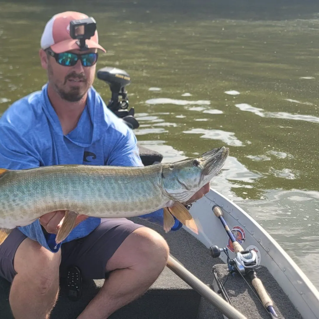 Muskie caught on Fishbrain