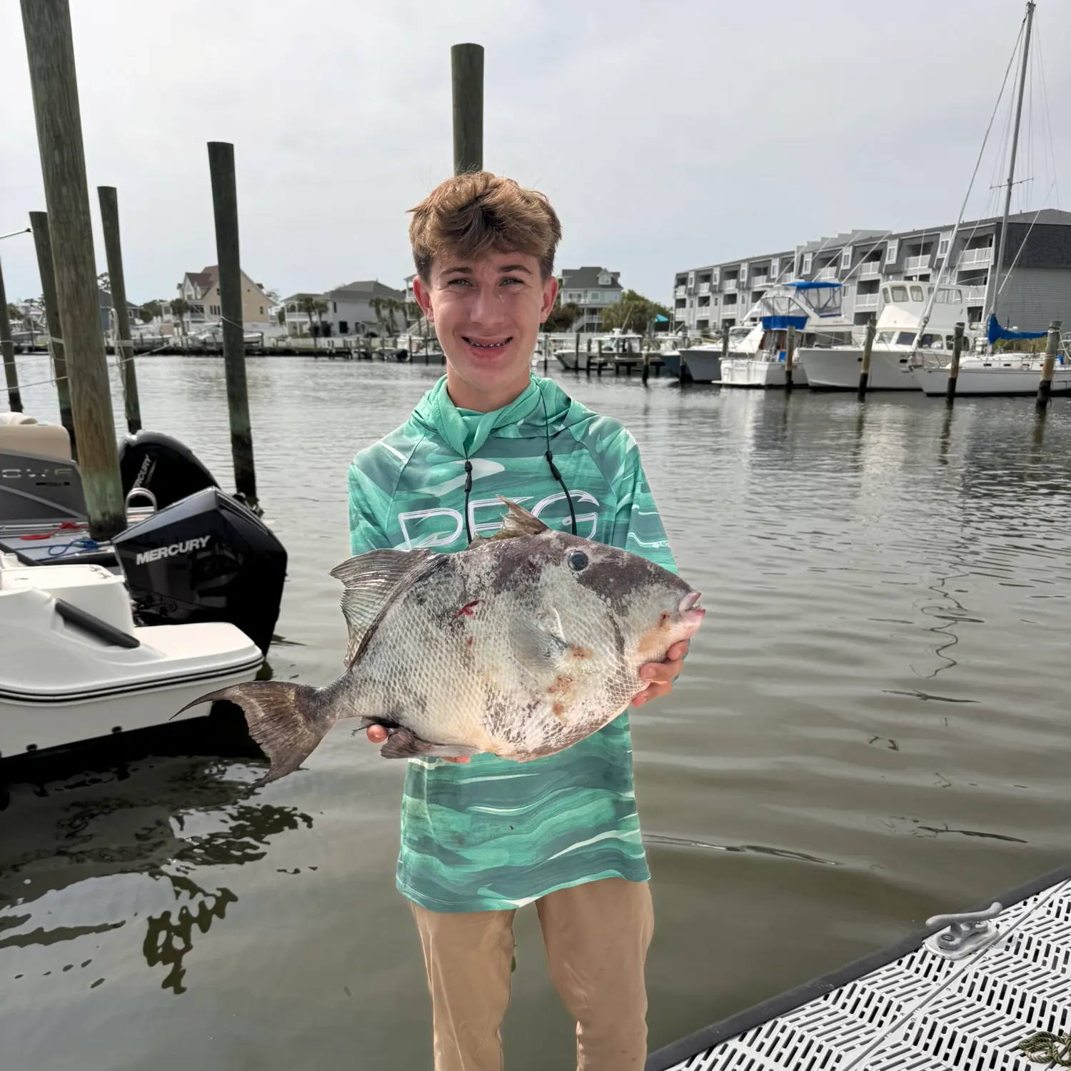 The most recent Grey triggerfish catches on Fishbrain