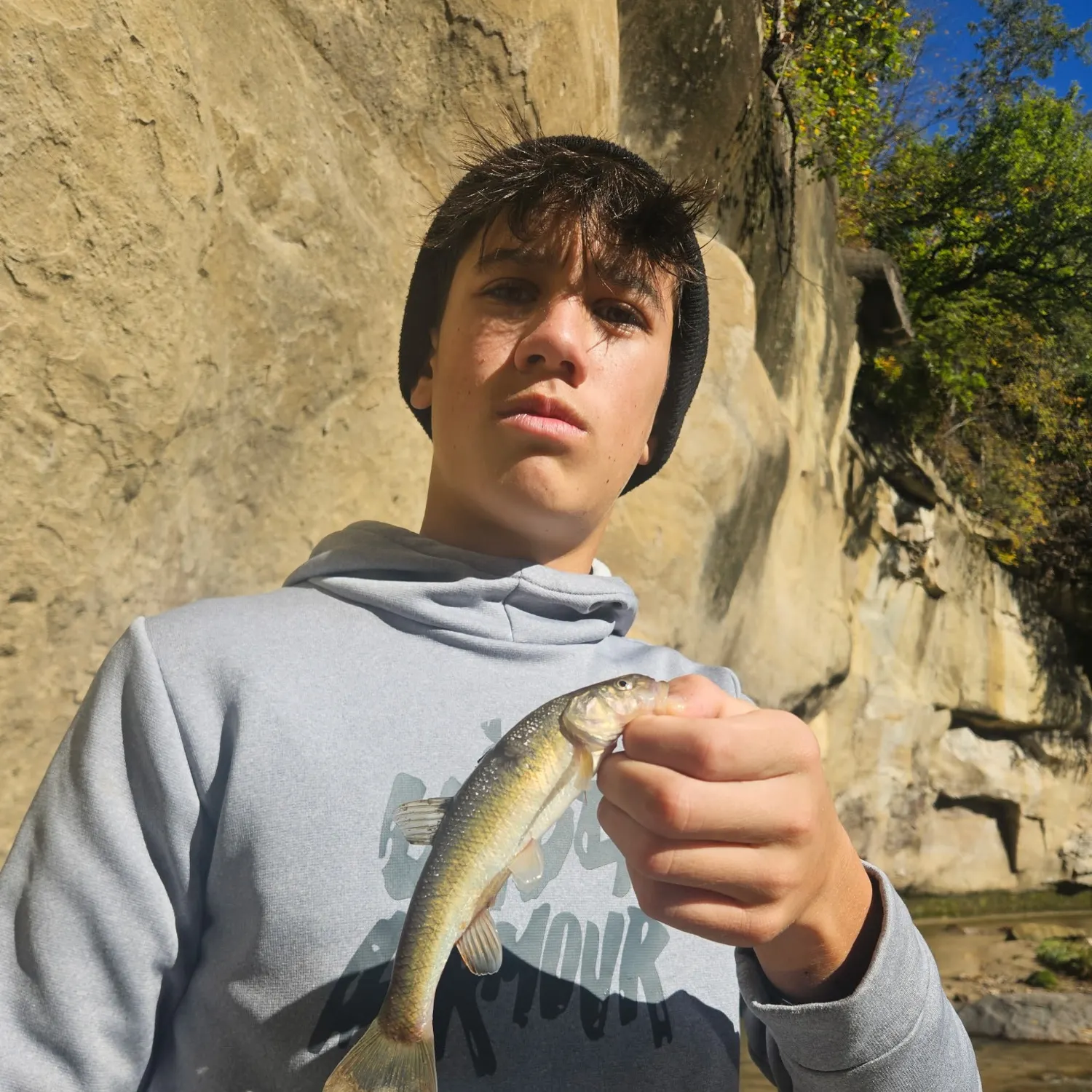 Creek chub caught on Fishbrain