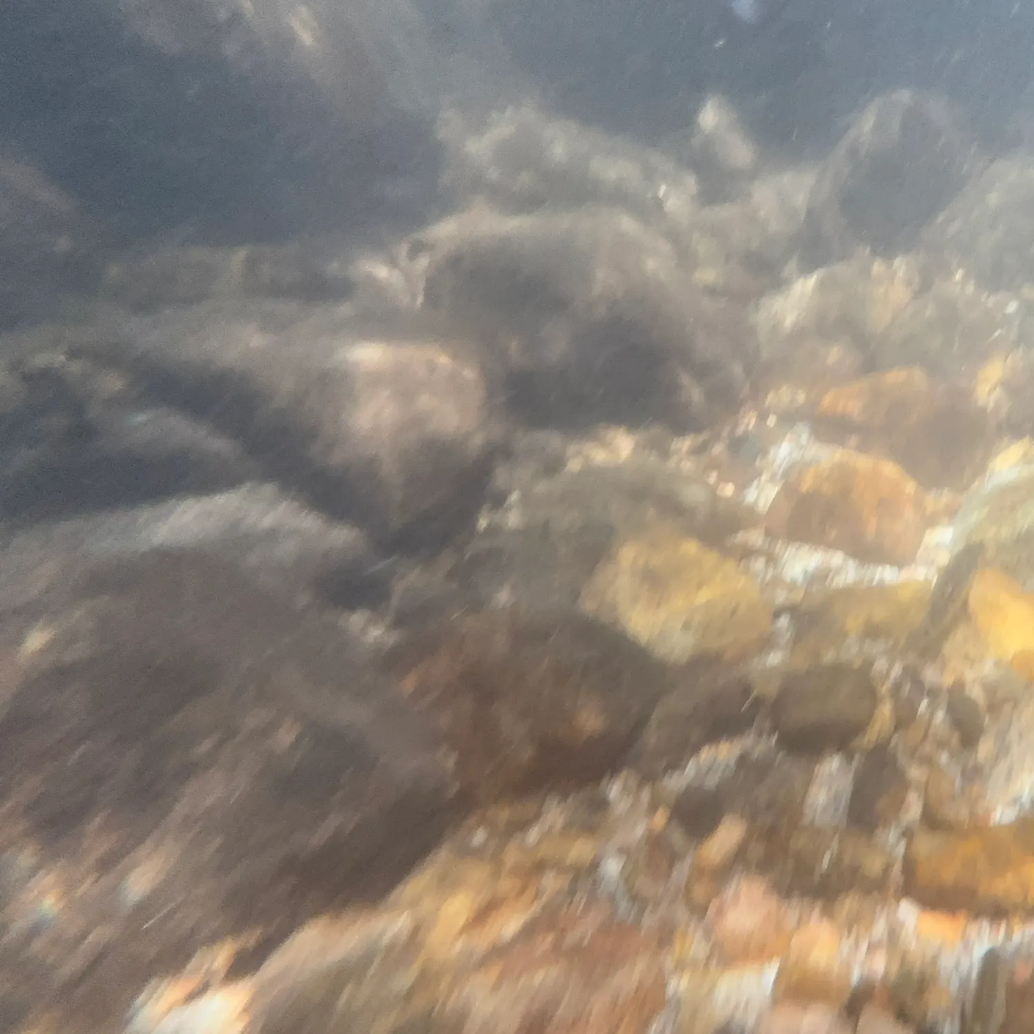 The most recent Santa Ana sucker catches on Fishbrain
