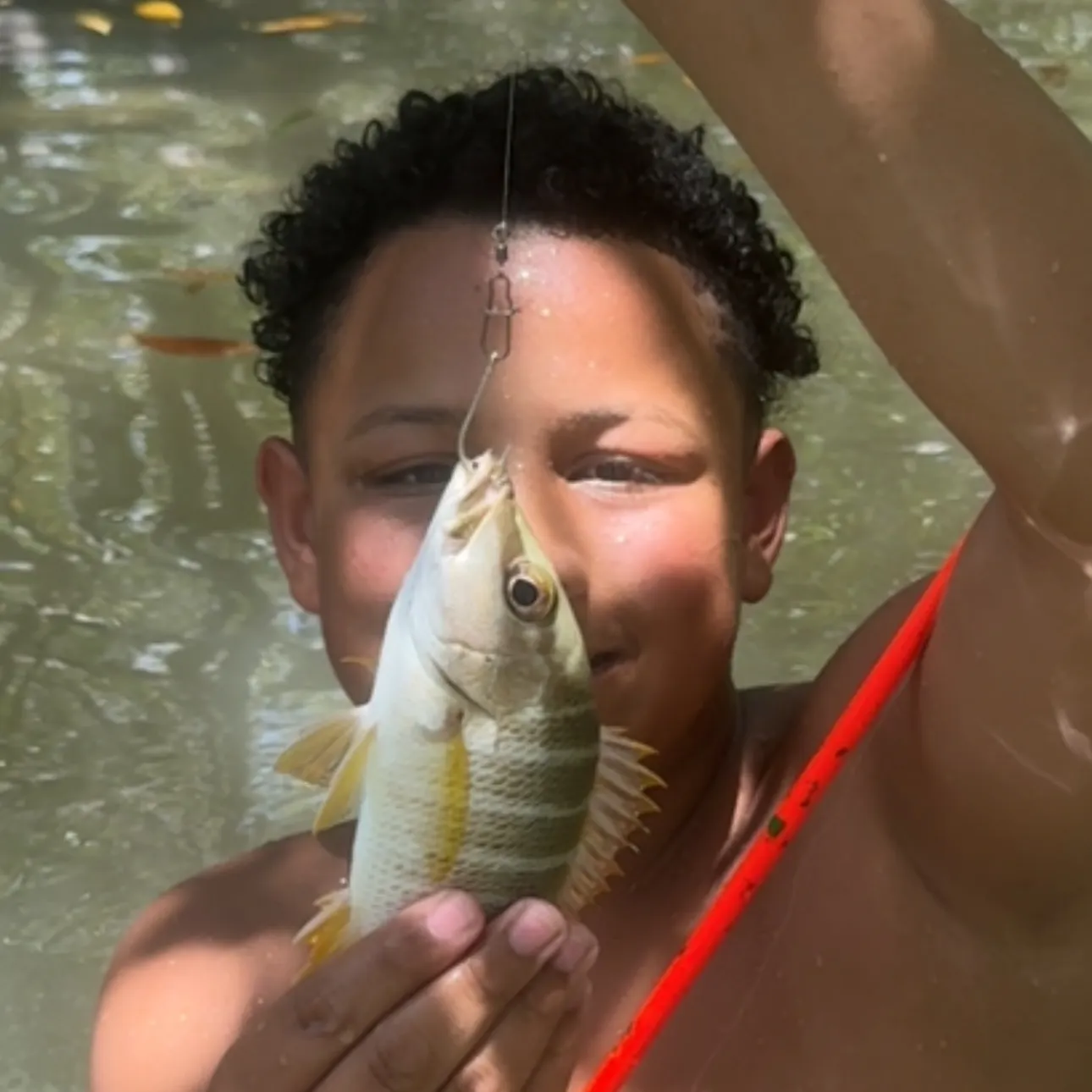 The most recent Schoolmaster snapper catches on Fishbrain