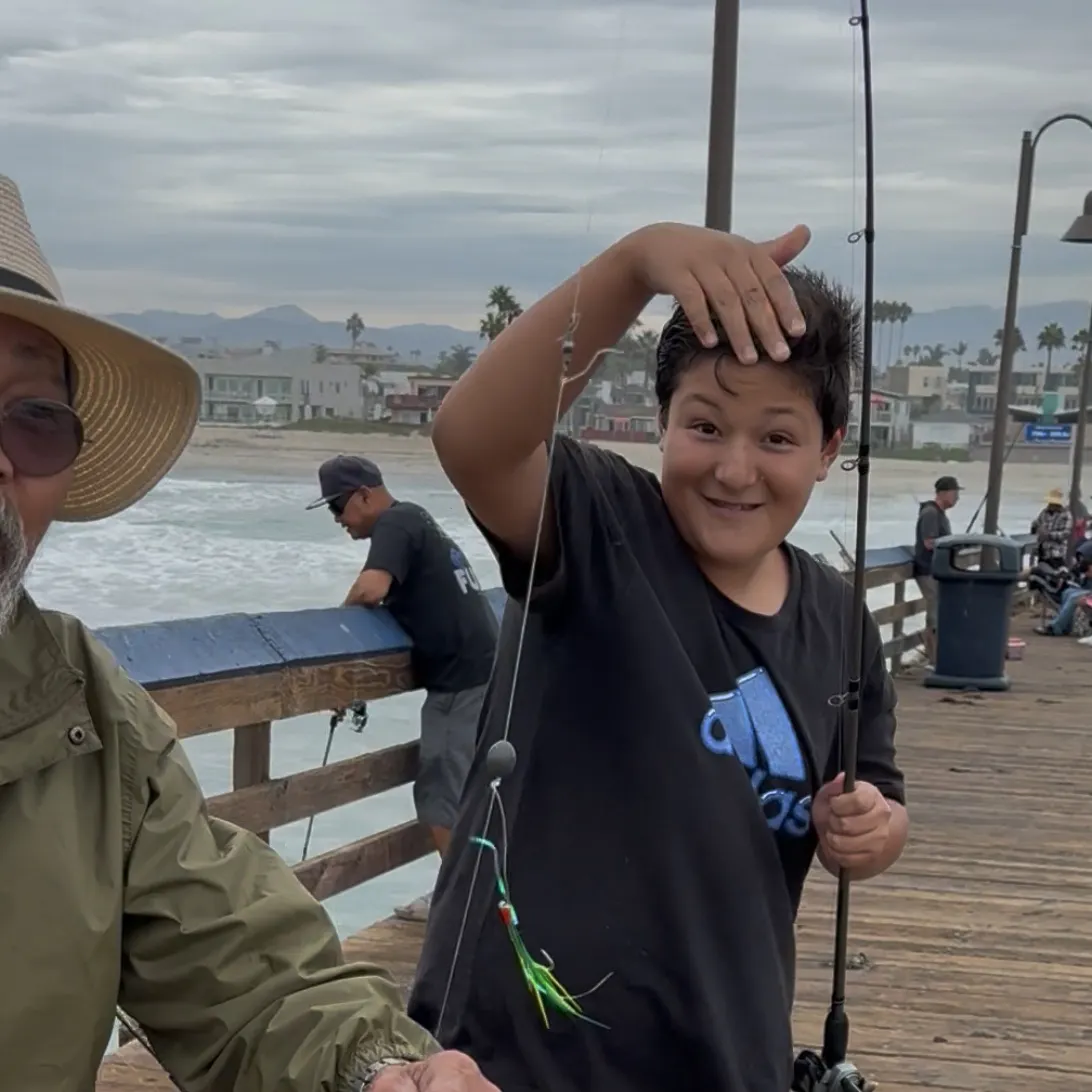 Pacific bonito caught on Fishbrain
