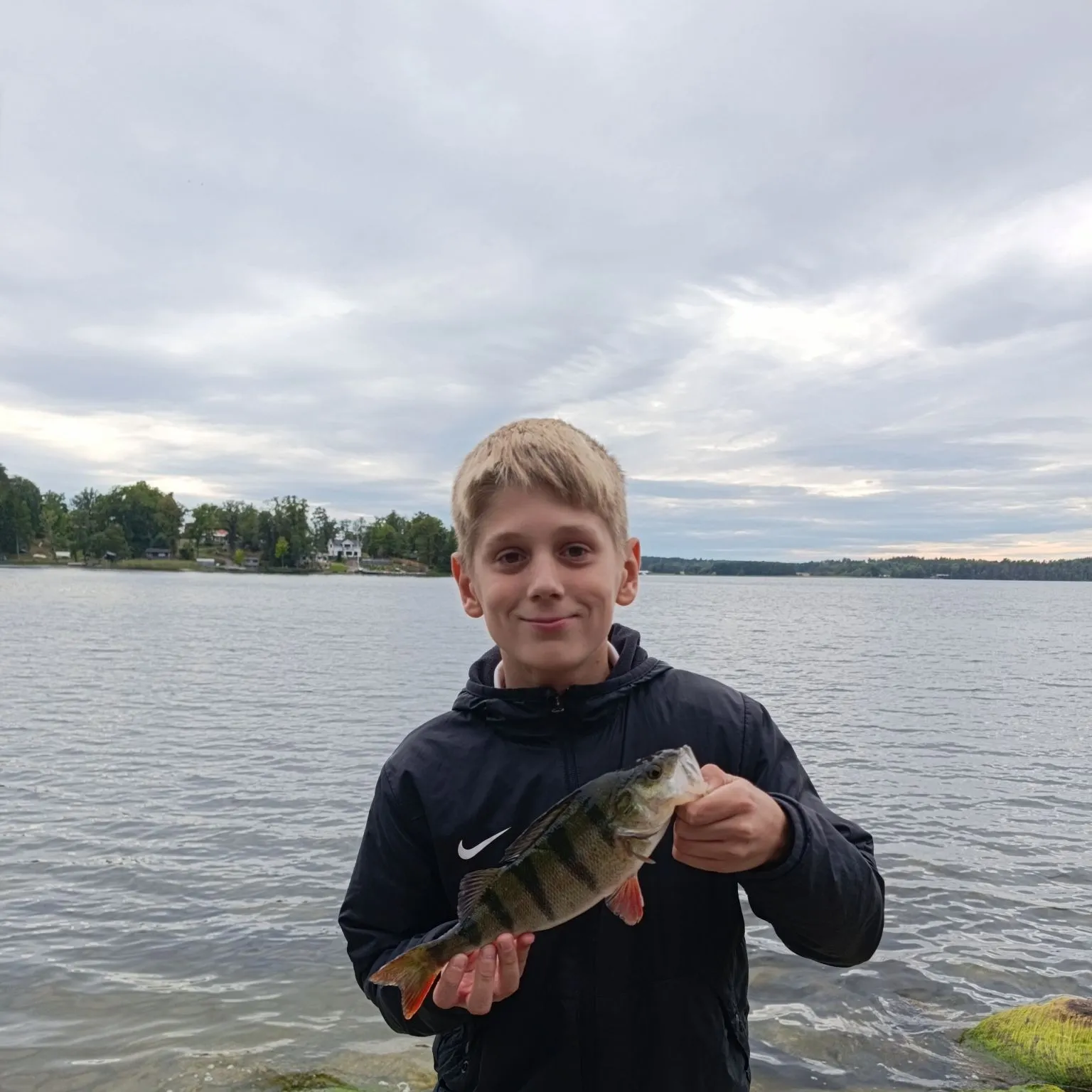 European perch caught on Fishbrain