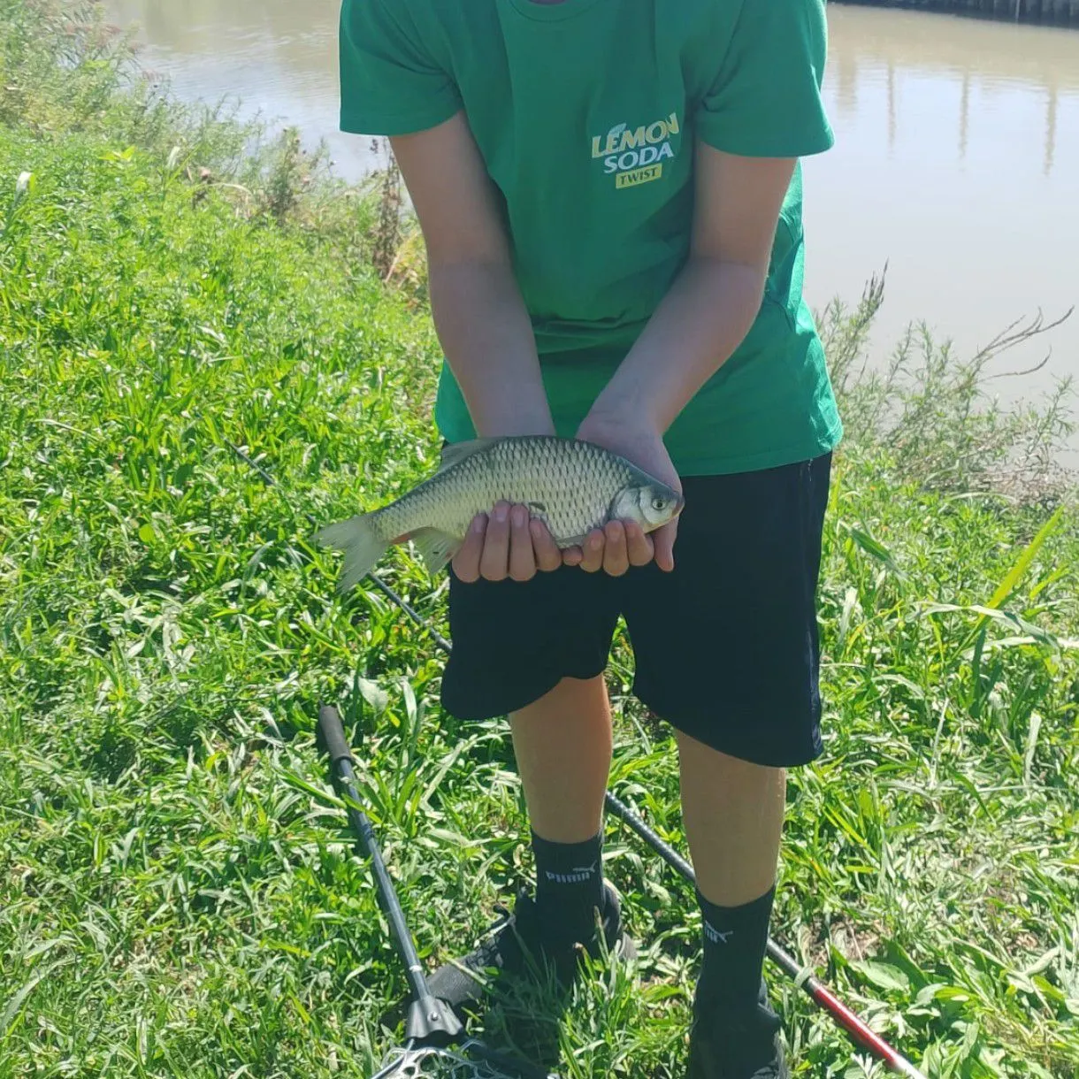 Common rudd caught on Fishbrain