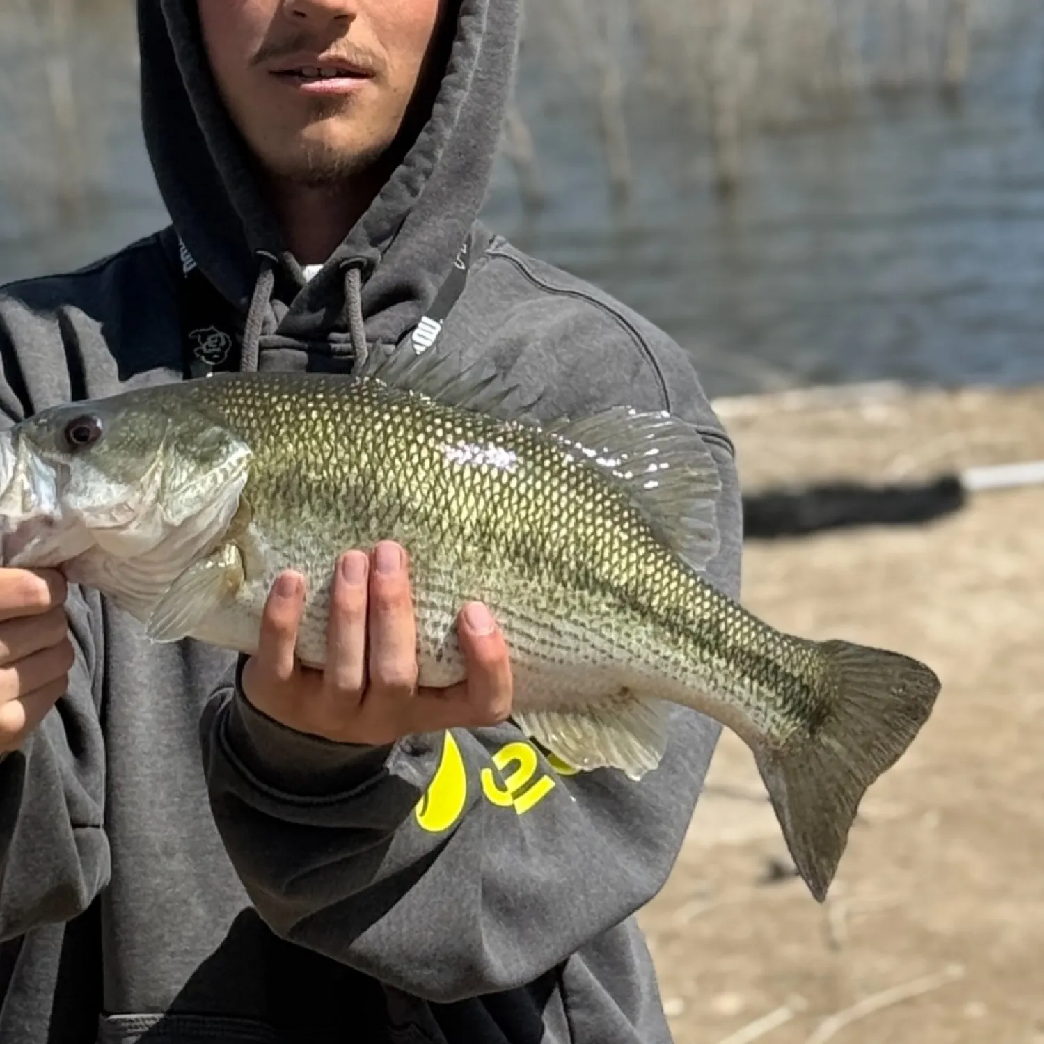 The most popular recent Meanmouth bass catch on Fishbrain
