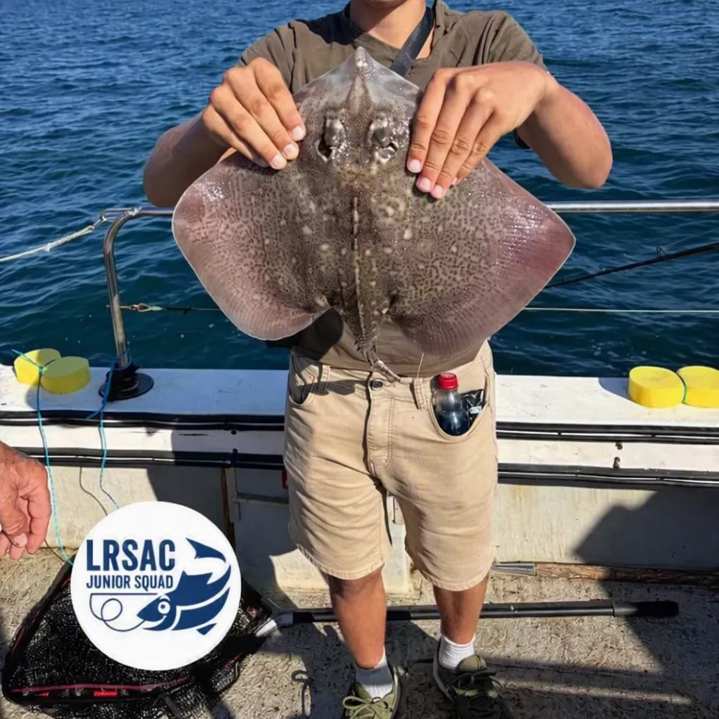 The most recent Thornback ray catches on Fishbrain
