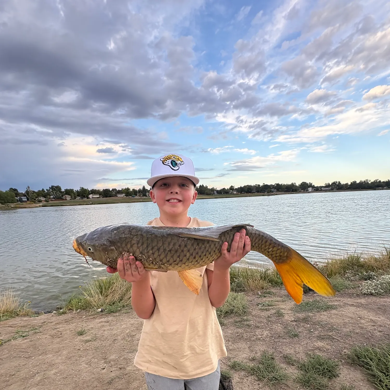 Common carp caught on Fishbrain