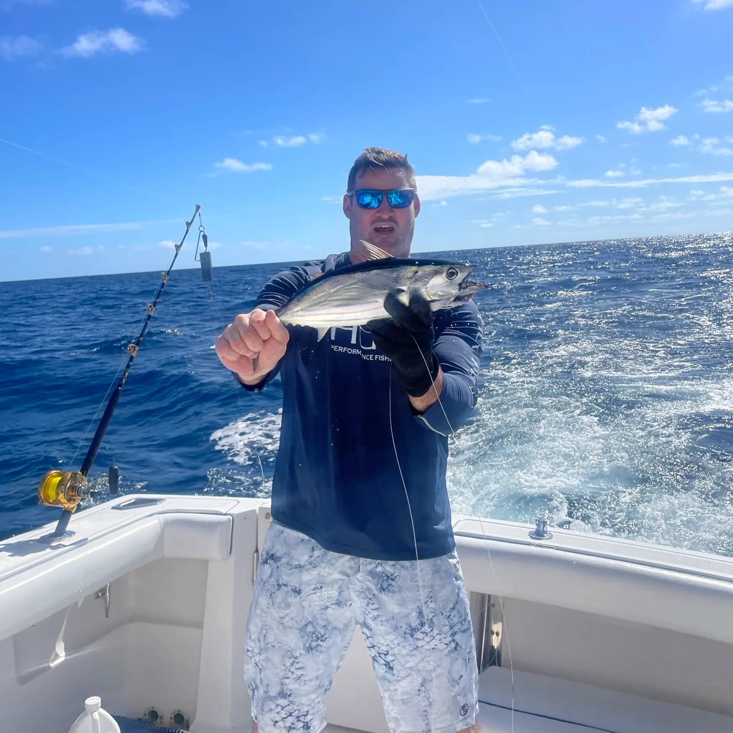 The most recent Blackfin tuna catches on Fishbrain