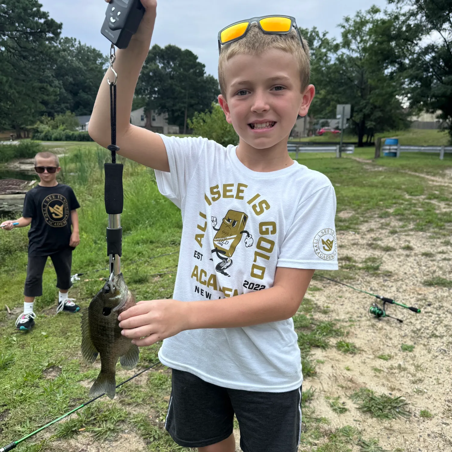 Bluegill caught on Fishbrain