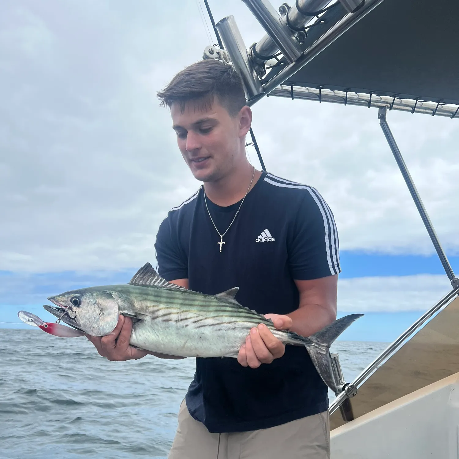 The most recent Skipjack tuna catches on Fishbrain