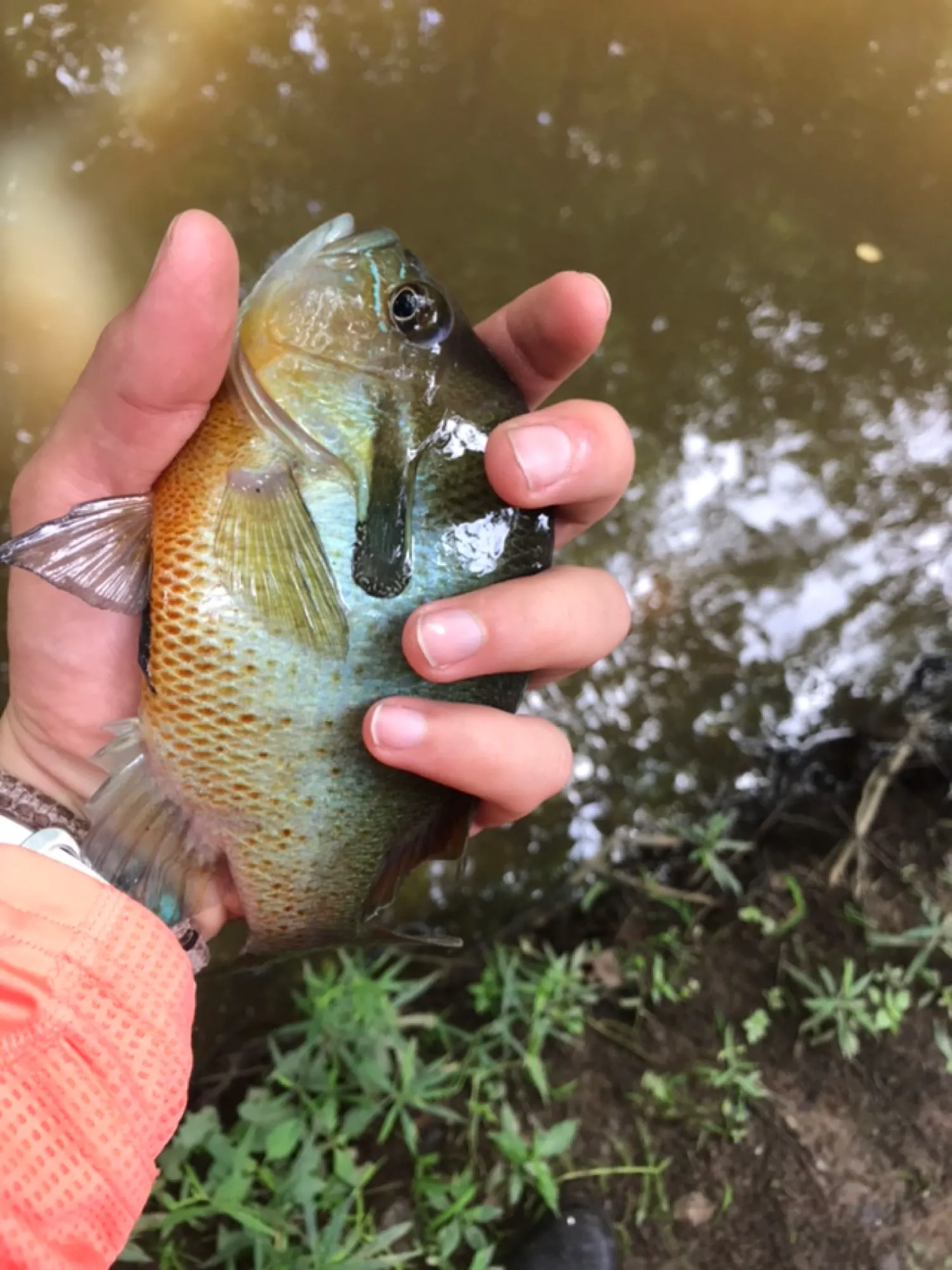 Post image from matt.andrews