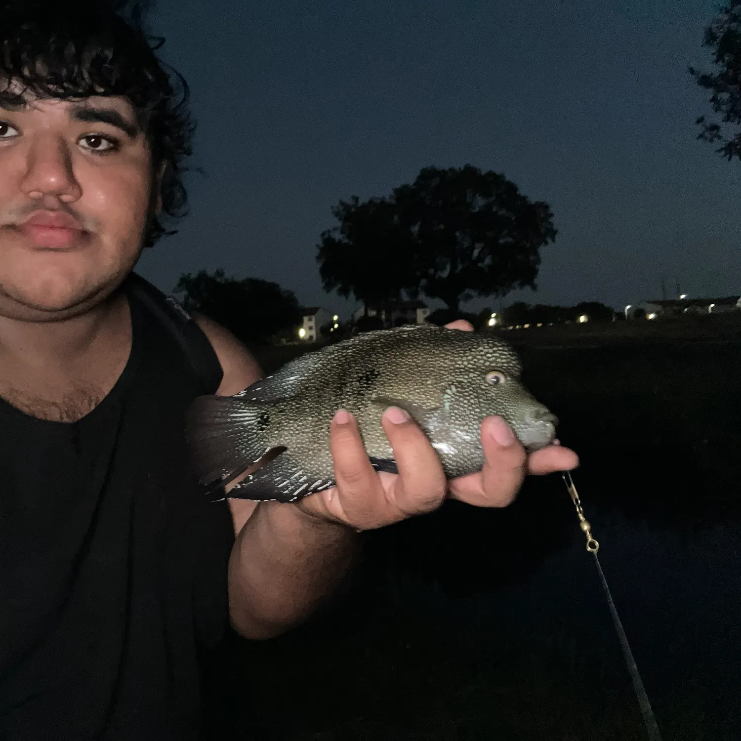 Rio Grande cichlid caught on Fishbrain