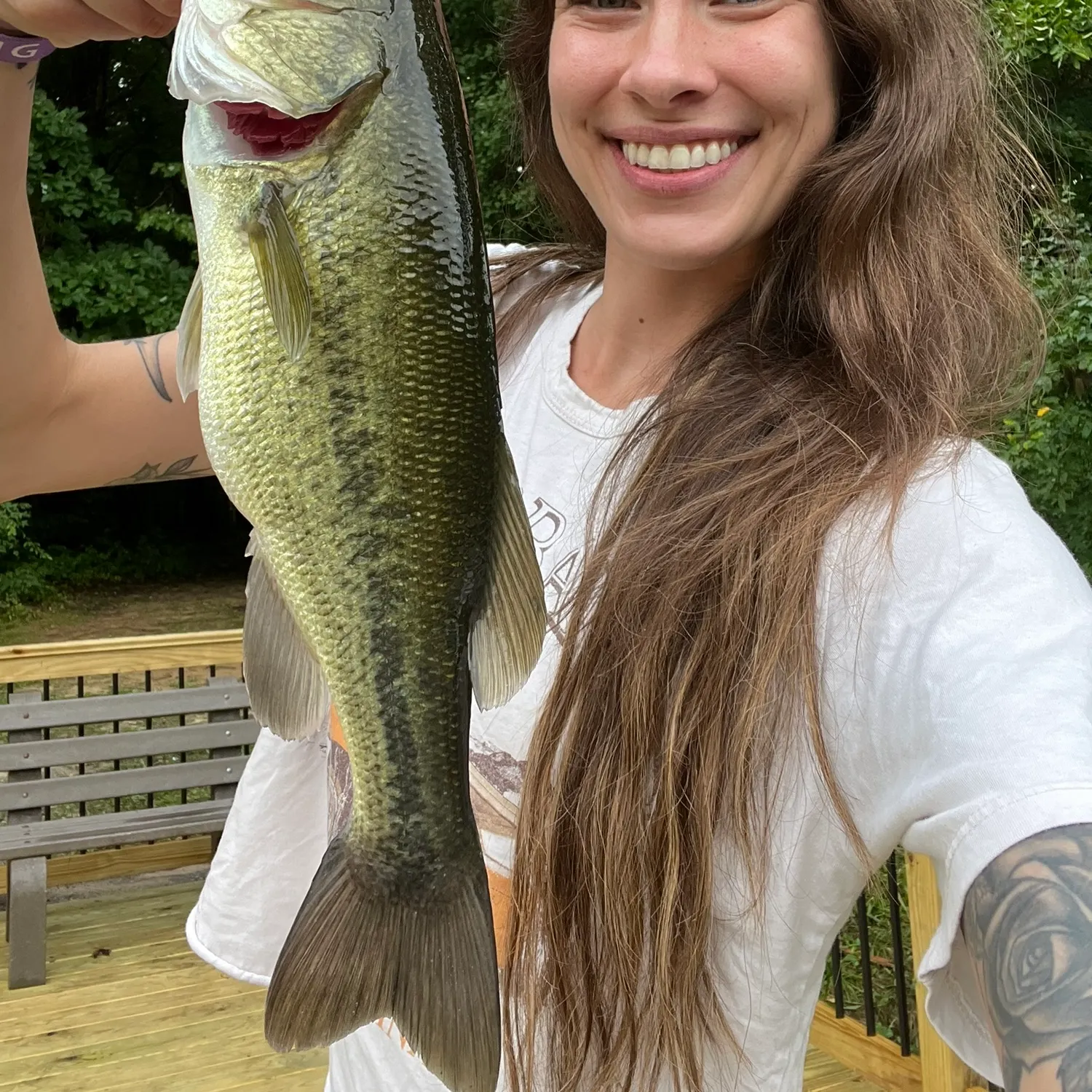 Largemouth bass caught on Fishbrain