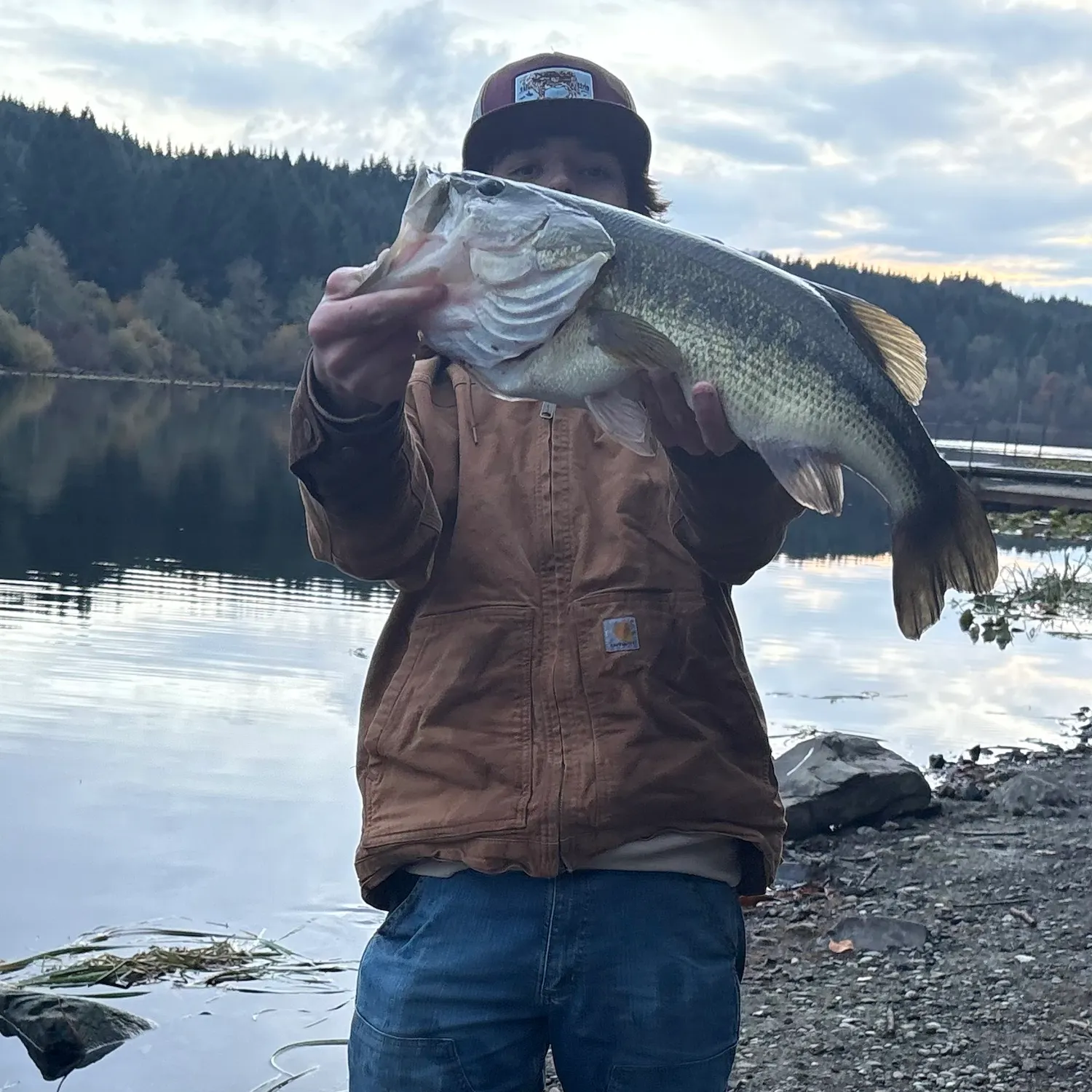 Largemouth bass caught on Fishbrain