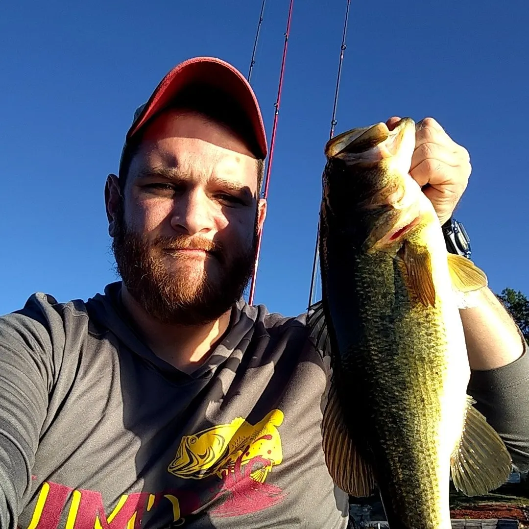 Largemouth bass caught on Fishbrain