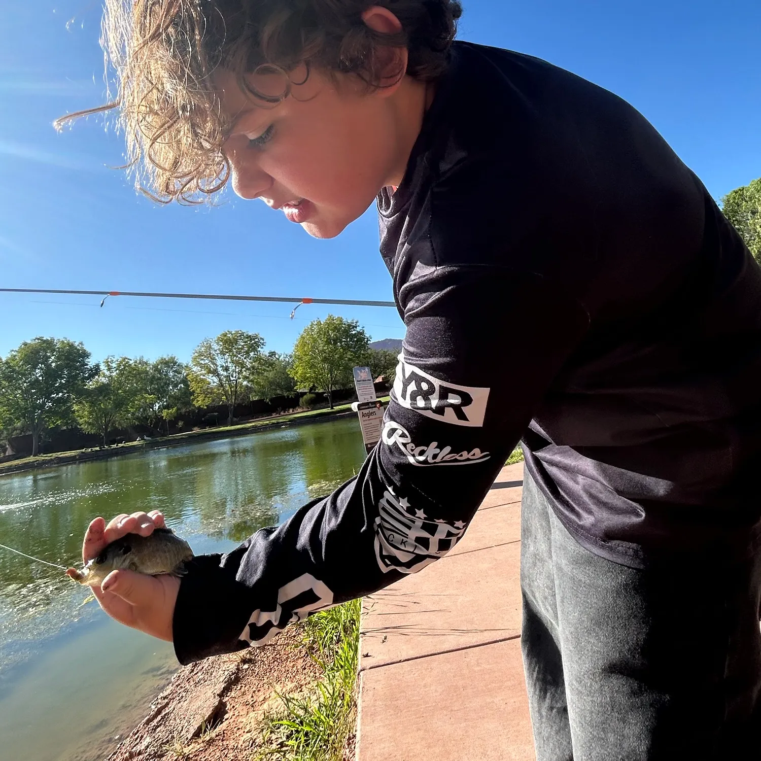 Bluegill caught on Fishbrain
