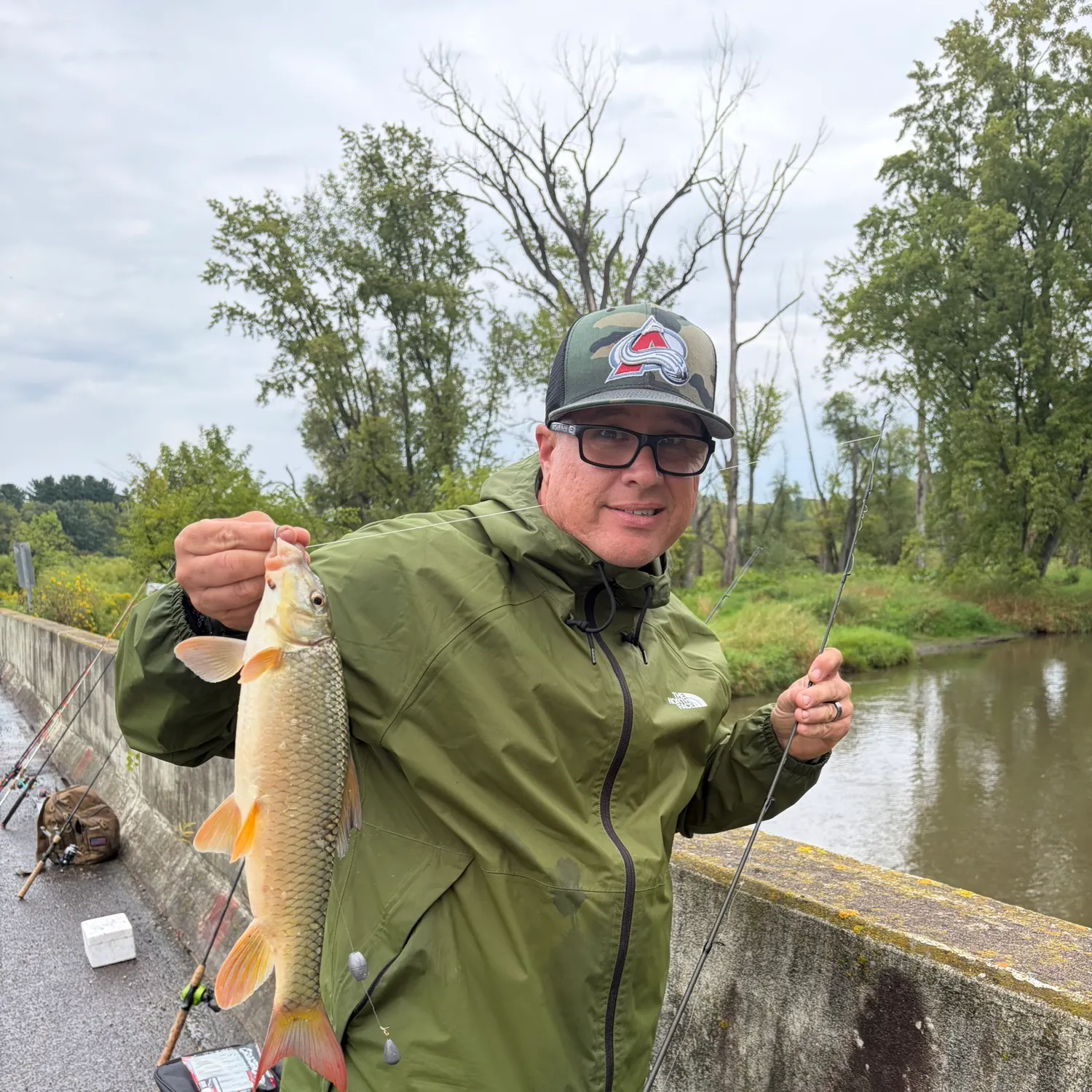 The most recent Shorthead redhorse catches on Fishbrain
