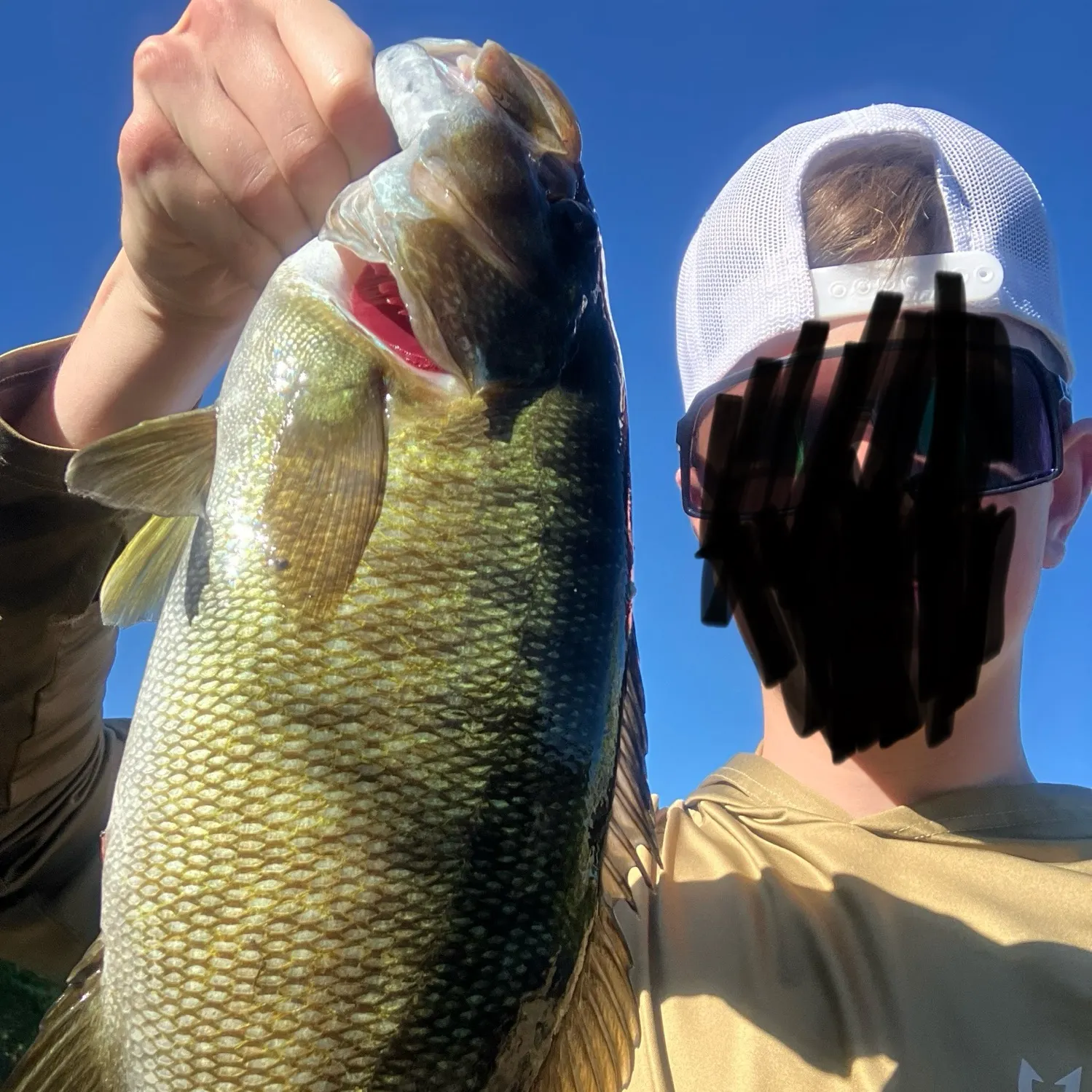 Smallmouth bass caught on Fishbrain