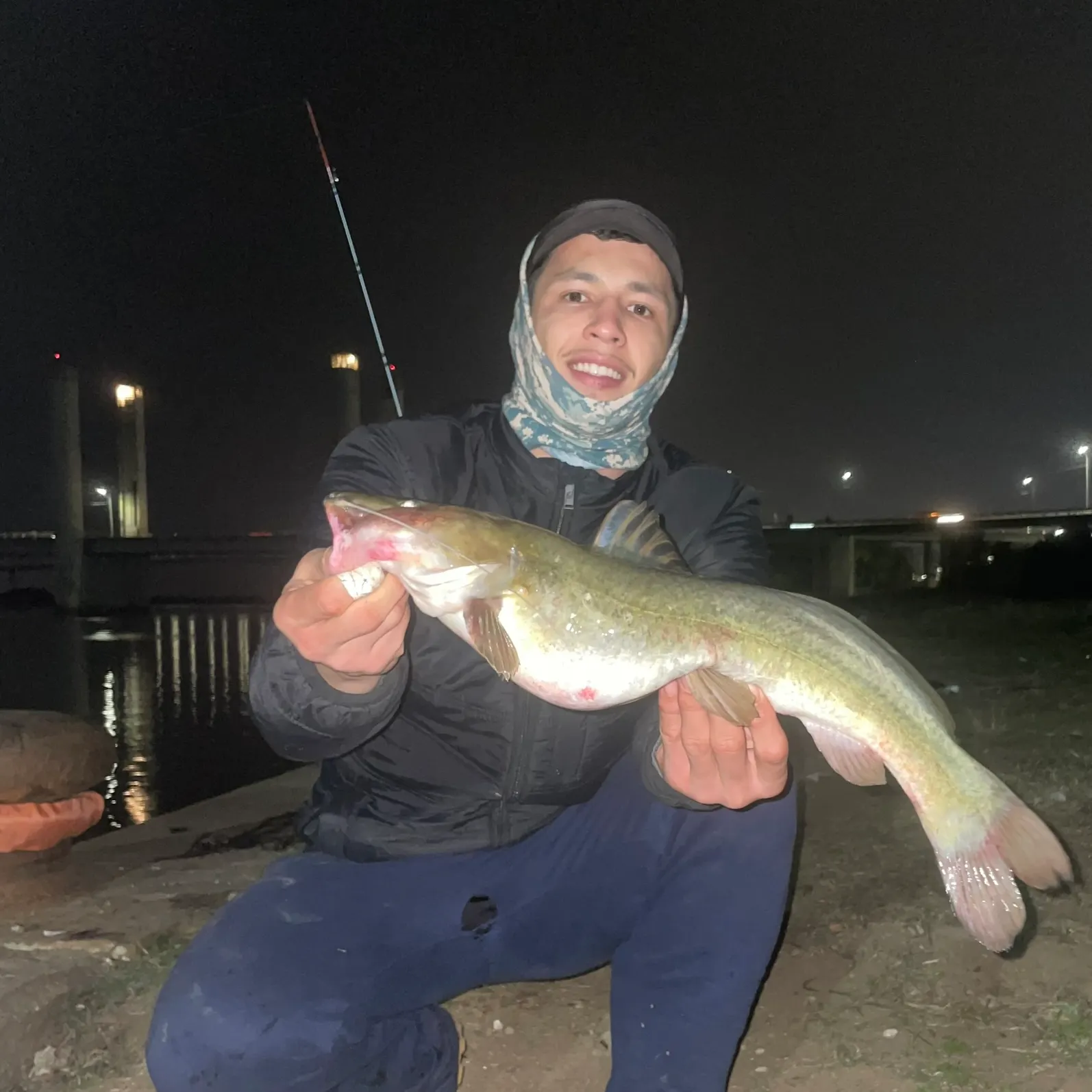 The most recent Pale catfish catches on Fishbrain