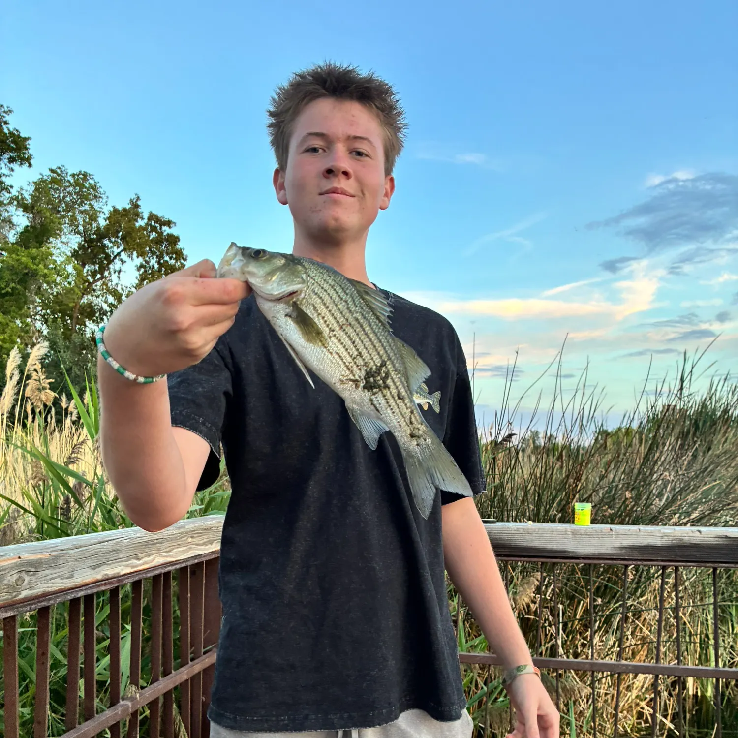 Wiper caught on Fishbrain