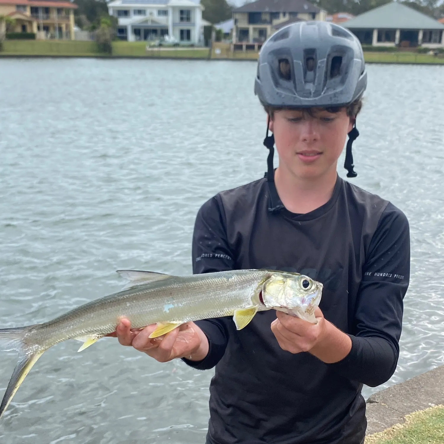 Ladyfish caught on Fishbrain