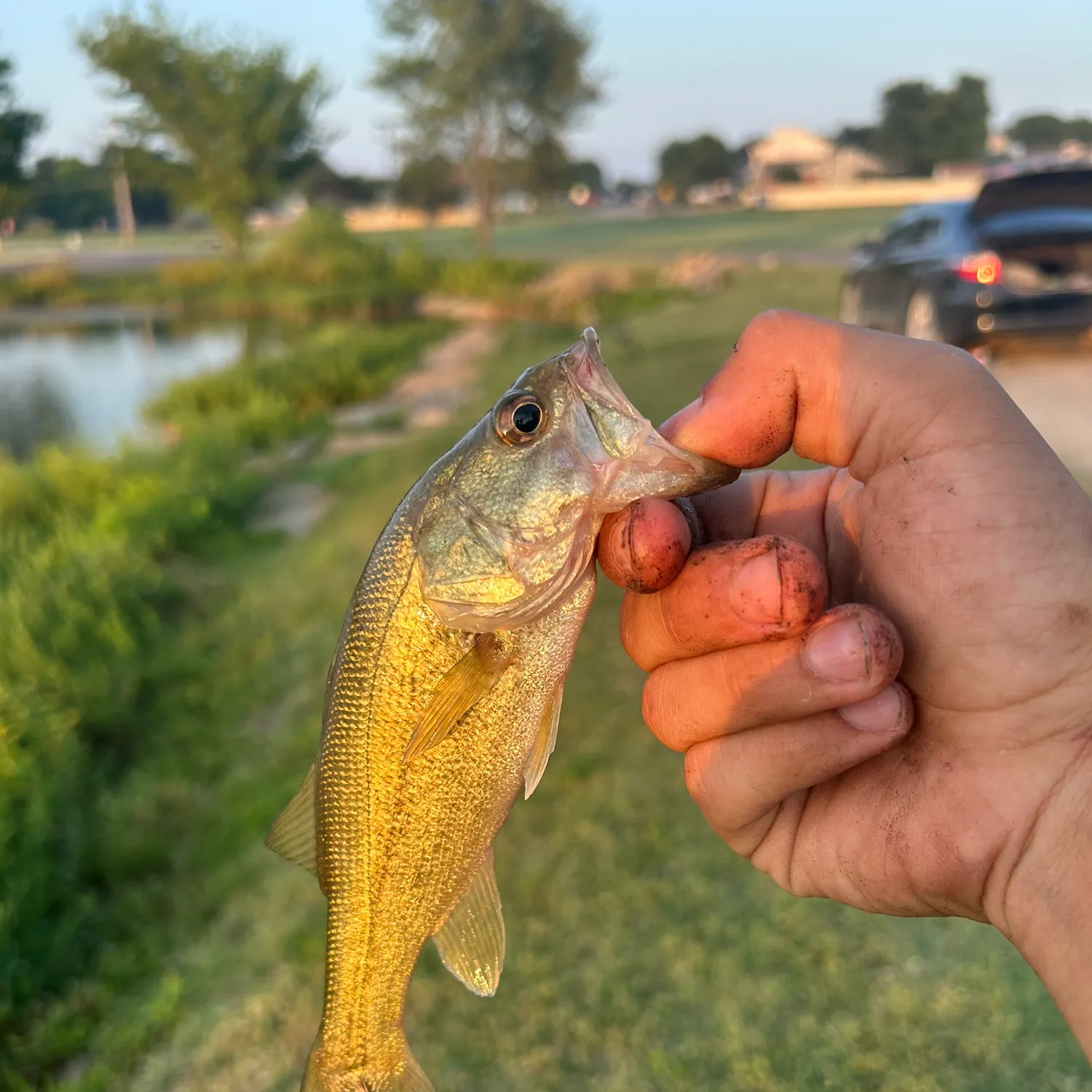 catch