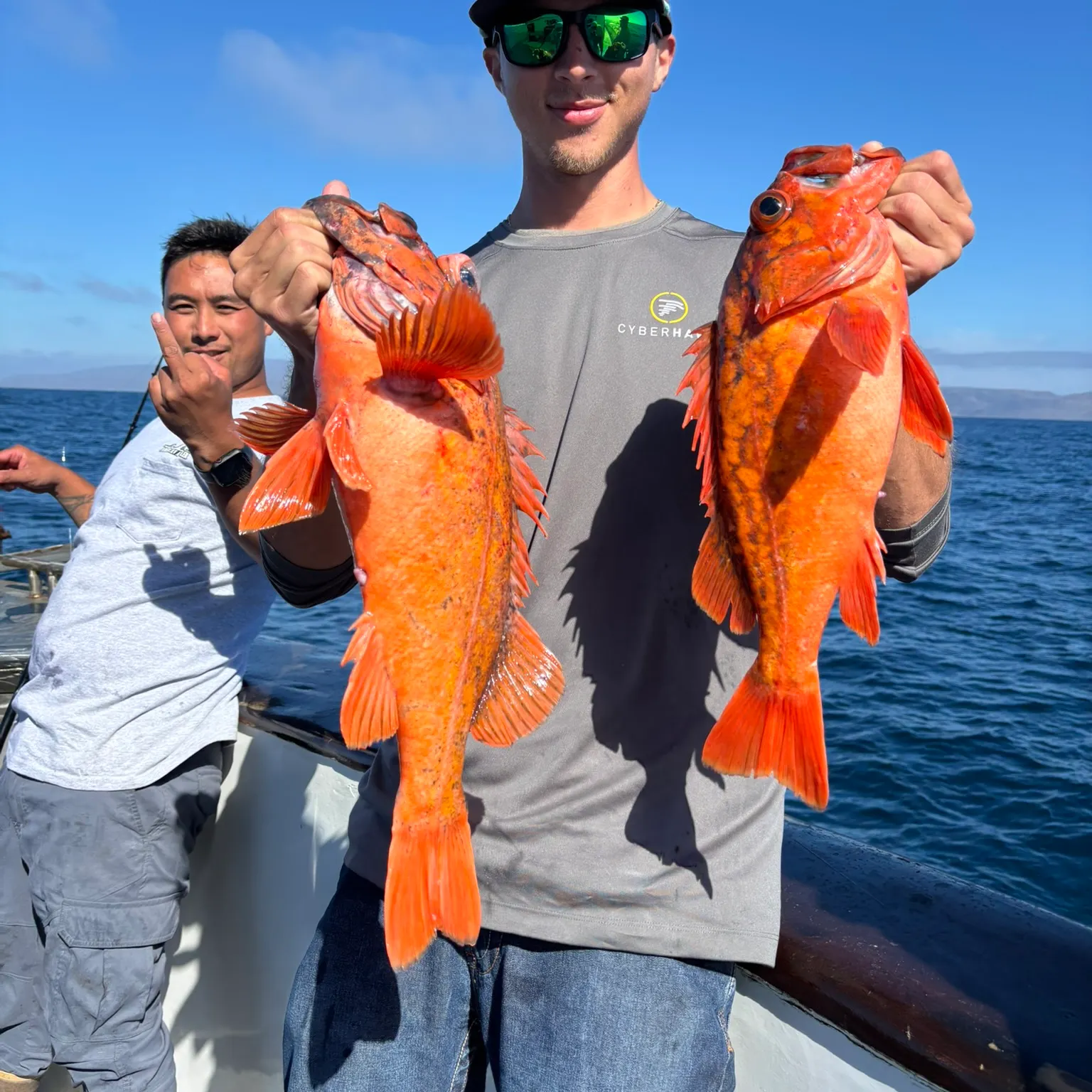 The most recent Vermilion rockfish catches on Fishbrain
