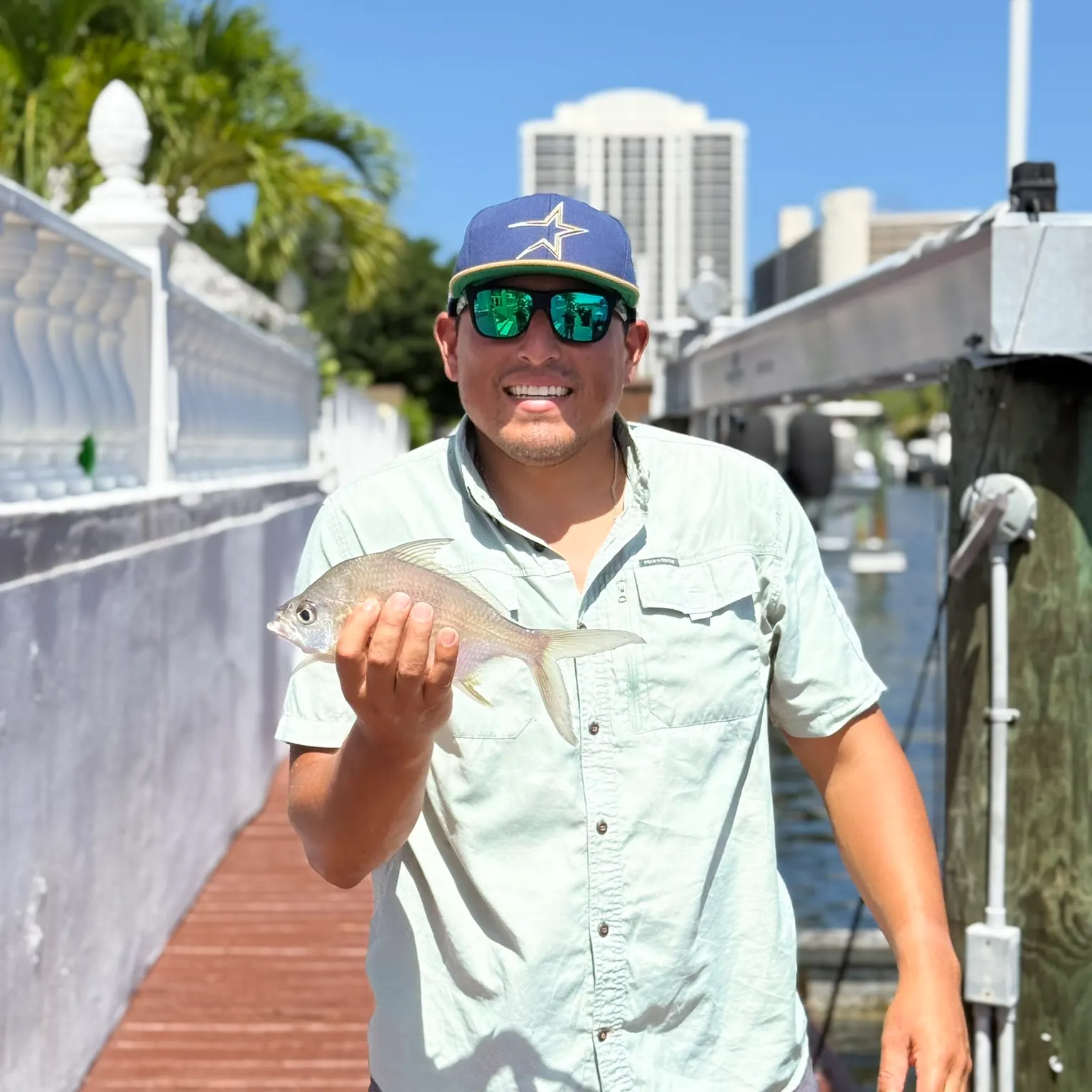 The most recent Irish mojarra catches on Fishbrain