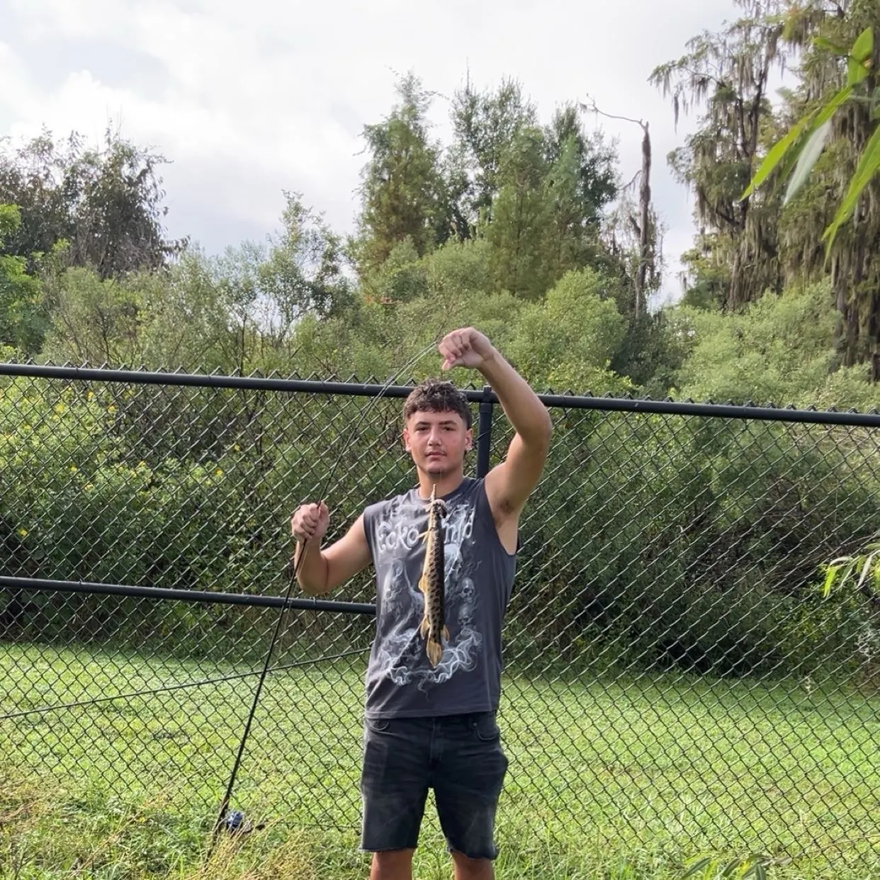 Shortnose gar caught on Fishbrain