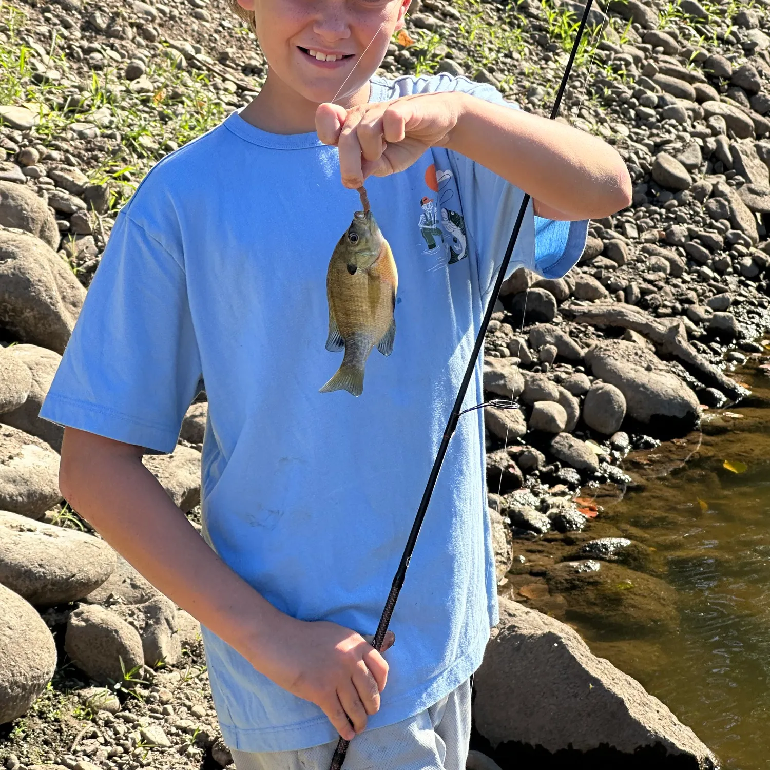 Bluegill caught on Fishbrain