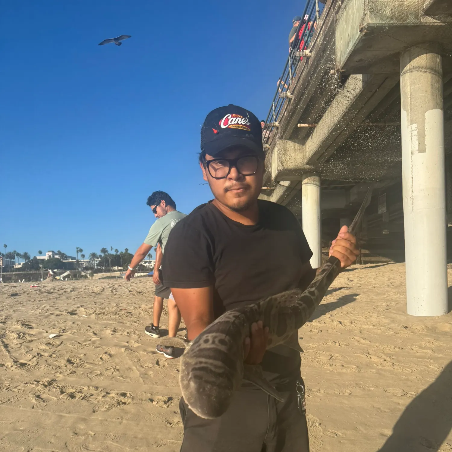 Leopard shark caught on Fishbrain