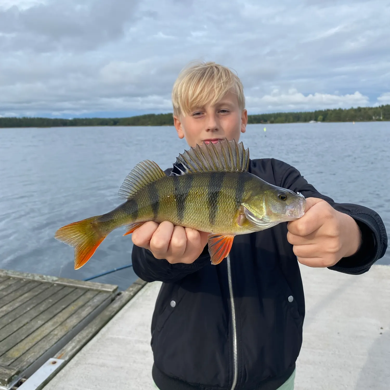 European perch caught on Fishbrain