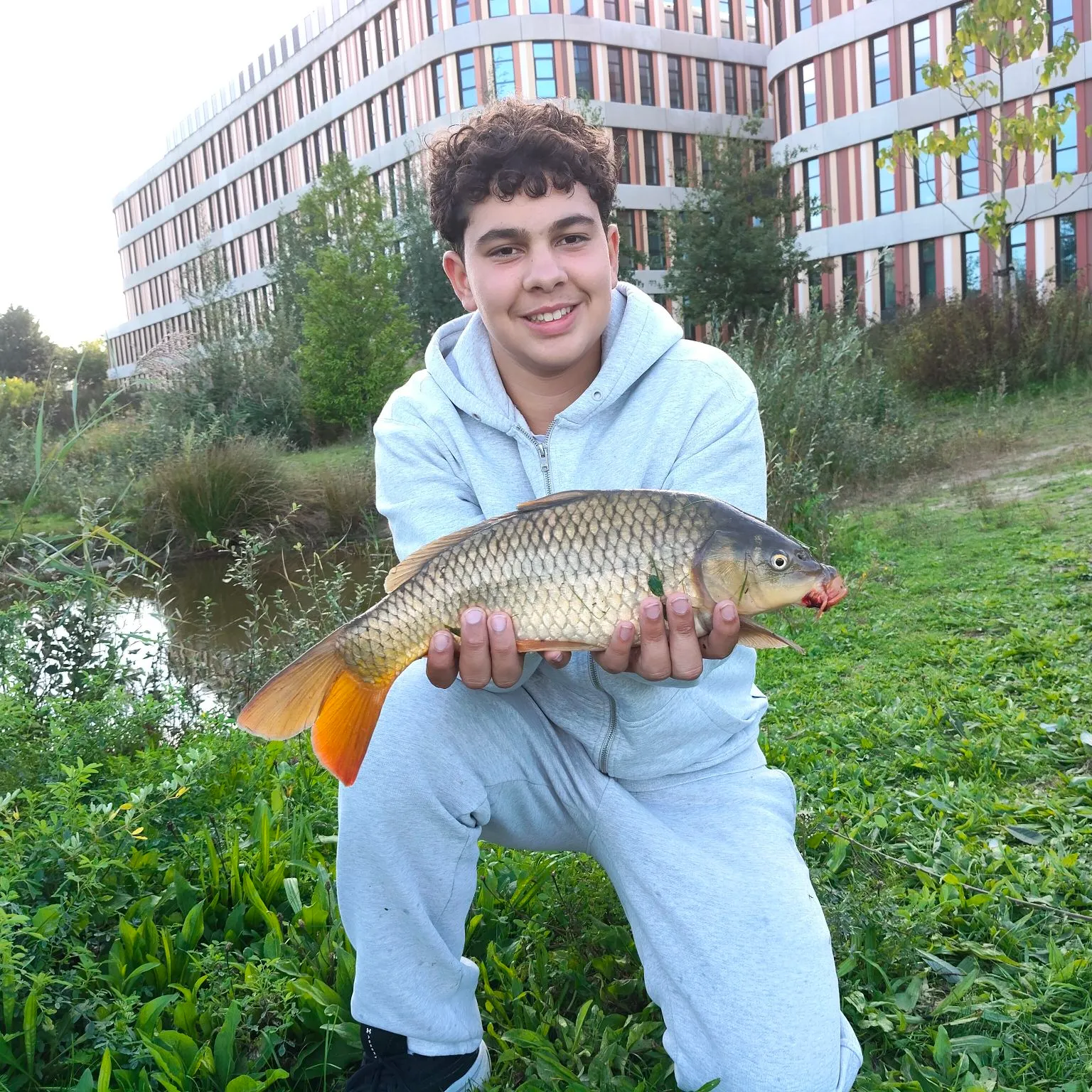 Common carp caught on Fishbrain