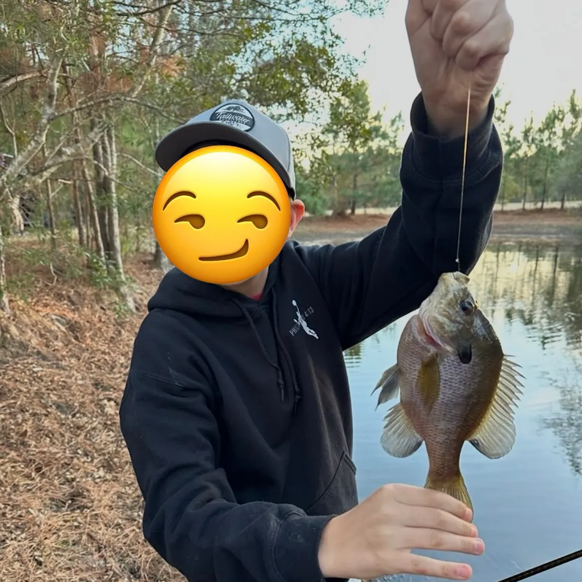 The most recent Redear sunfish catches on Fishbrain
