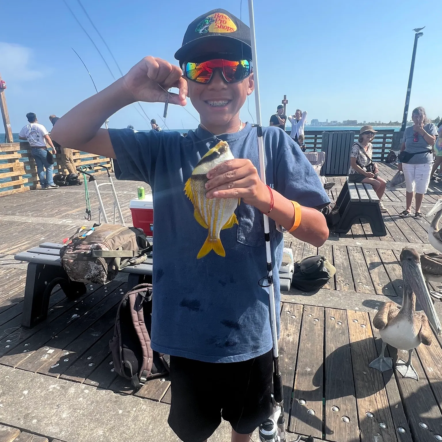 The most recent Atlantic porkfish catches on Fishbrain