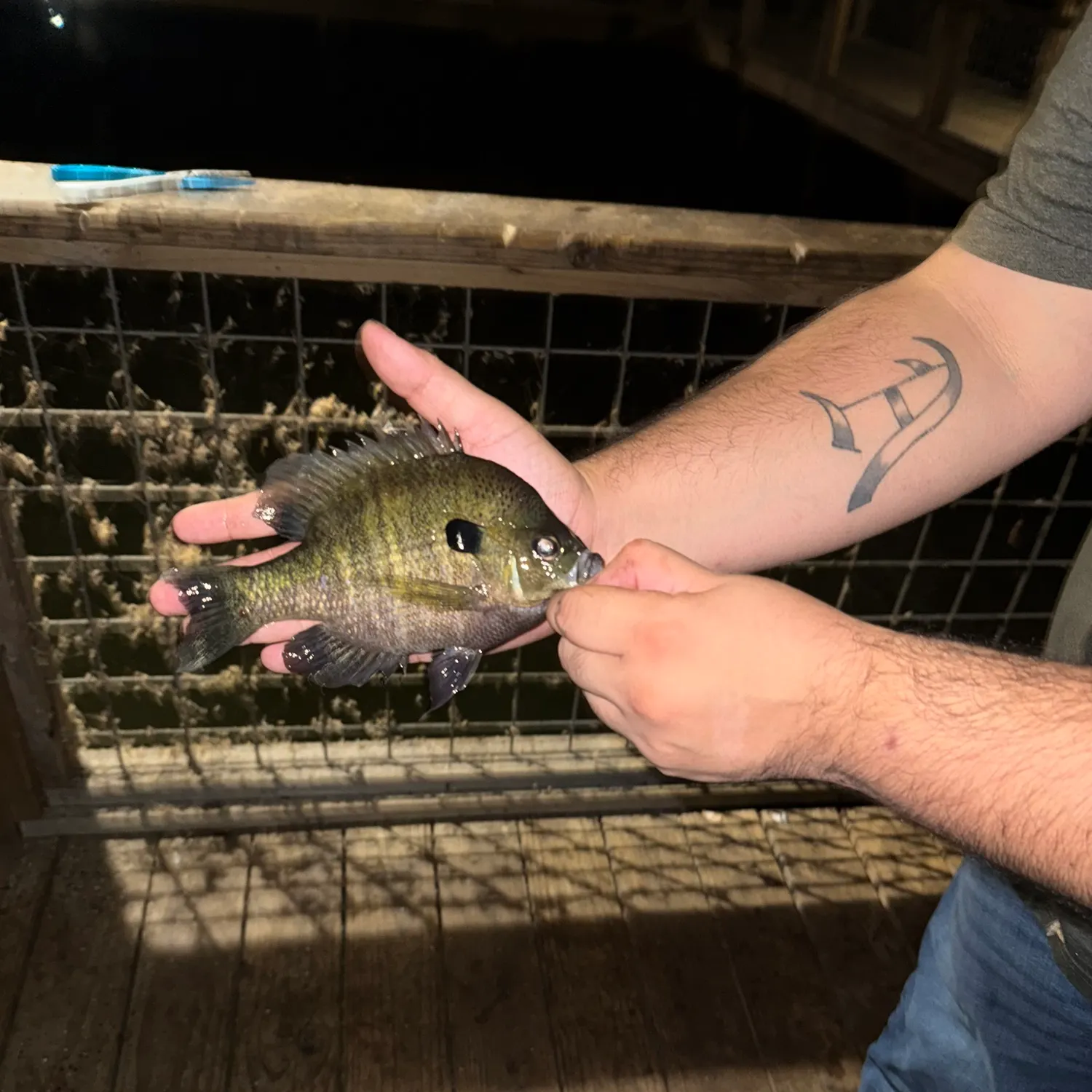 catch