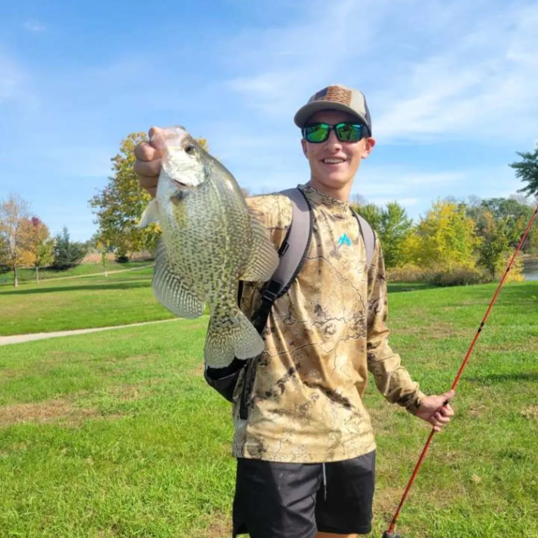 Black crappie caught on Fishbrain