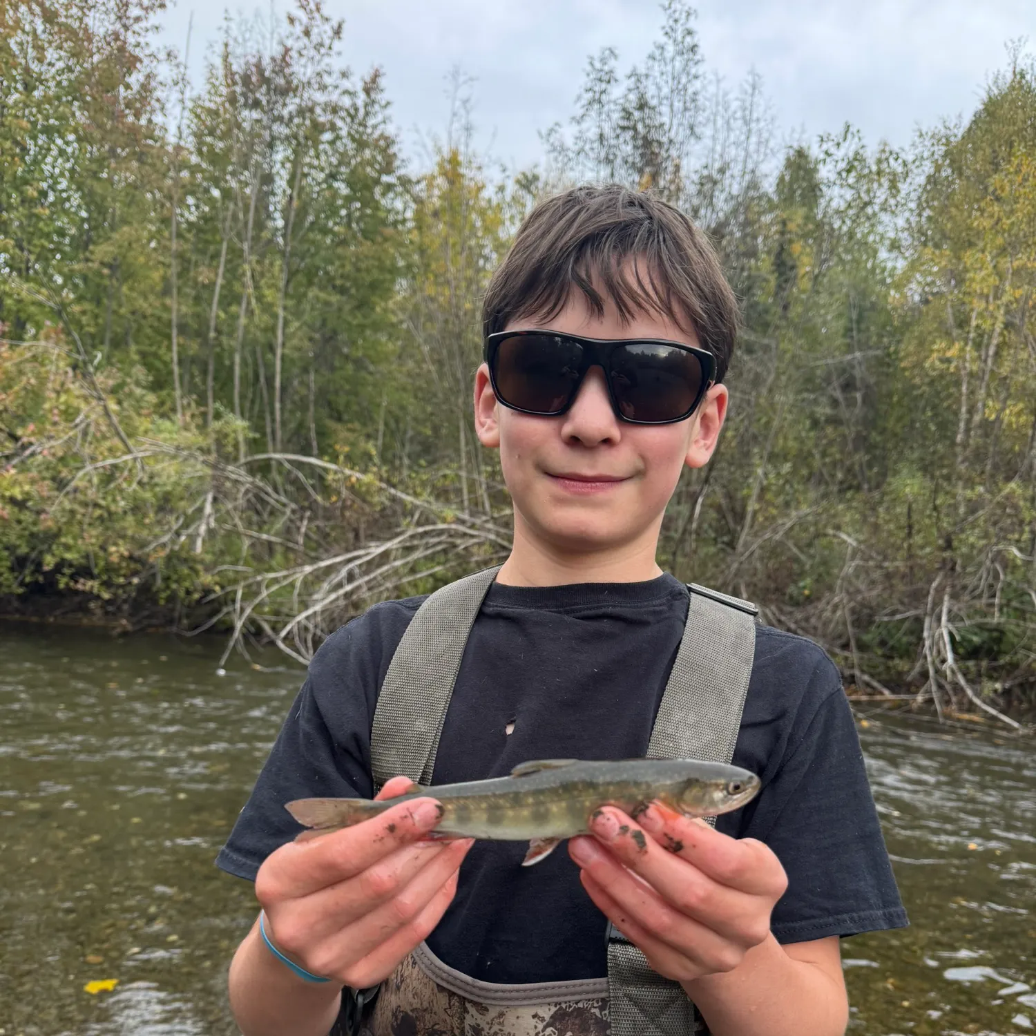 Dolly varden caught on Fishbrain