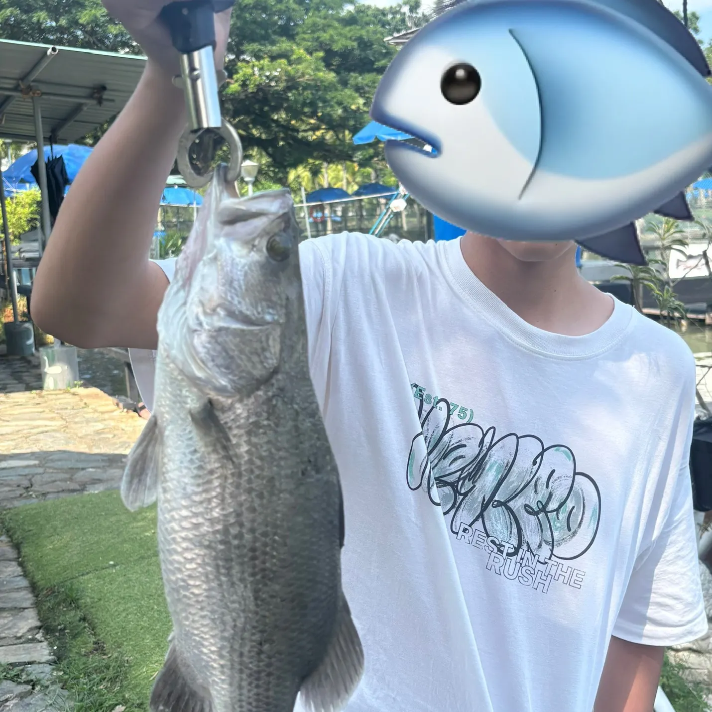 The most recent Barramundi catches on Fishbrain