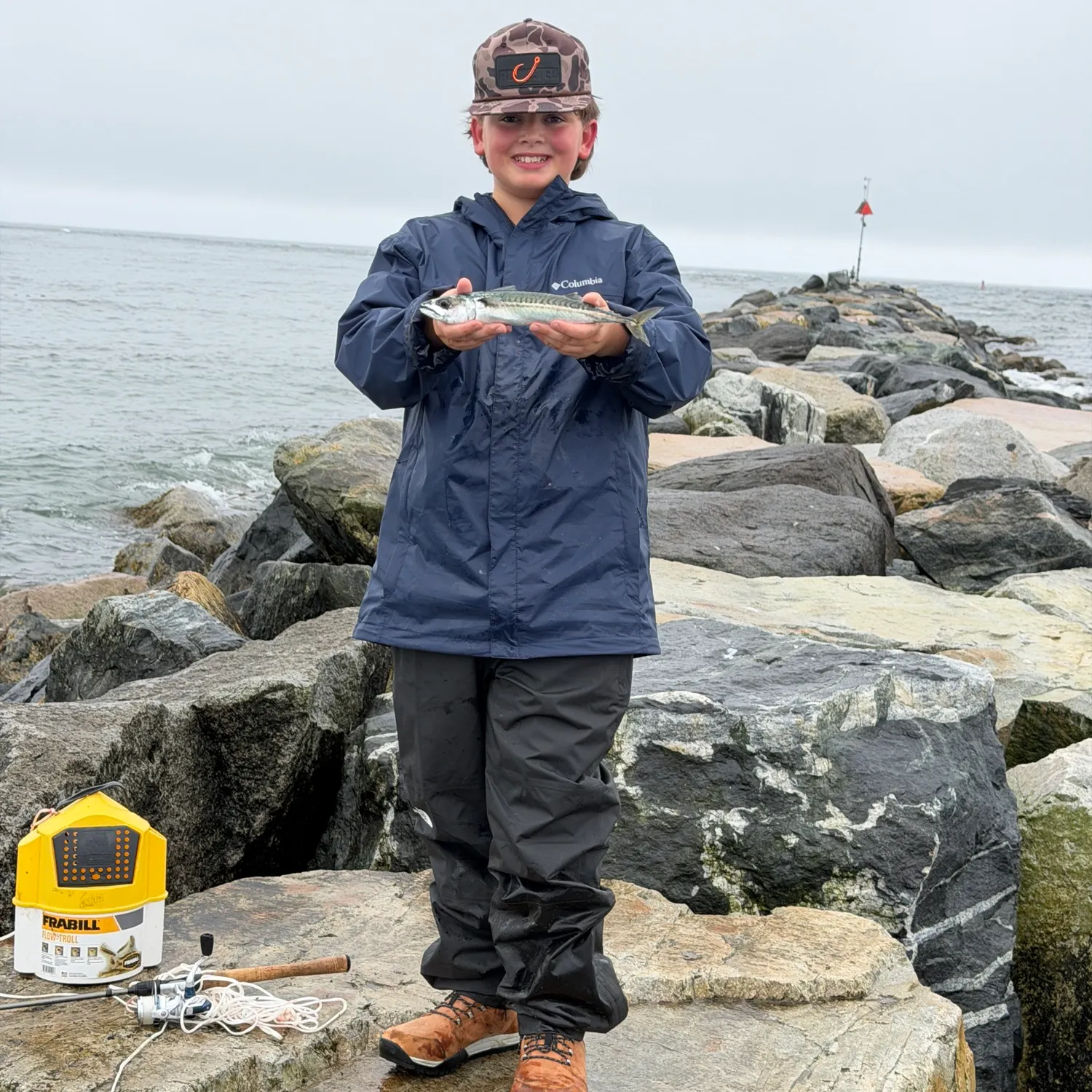 Atlantic mackerel caught on Fishbrain