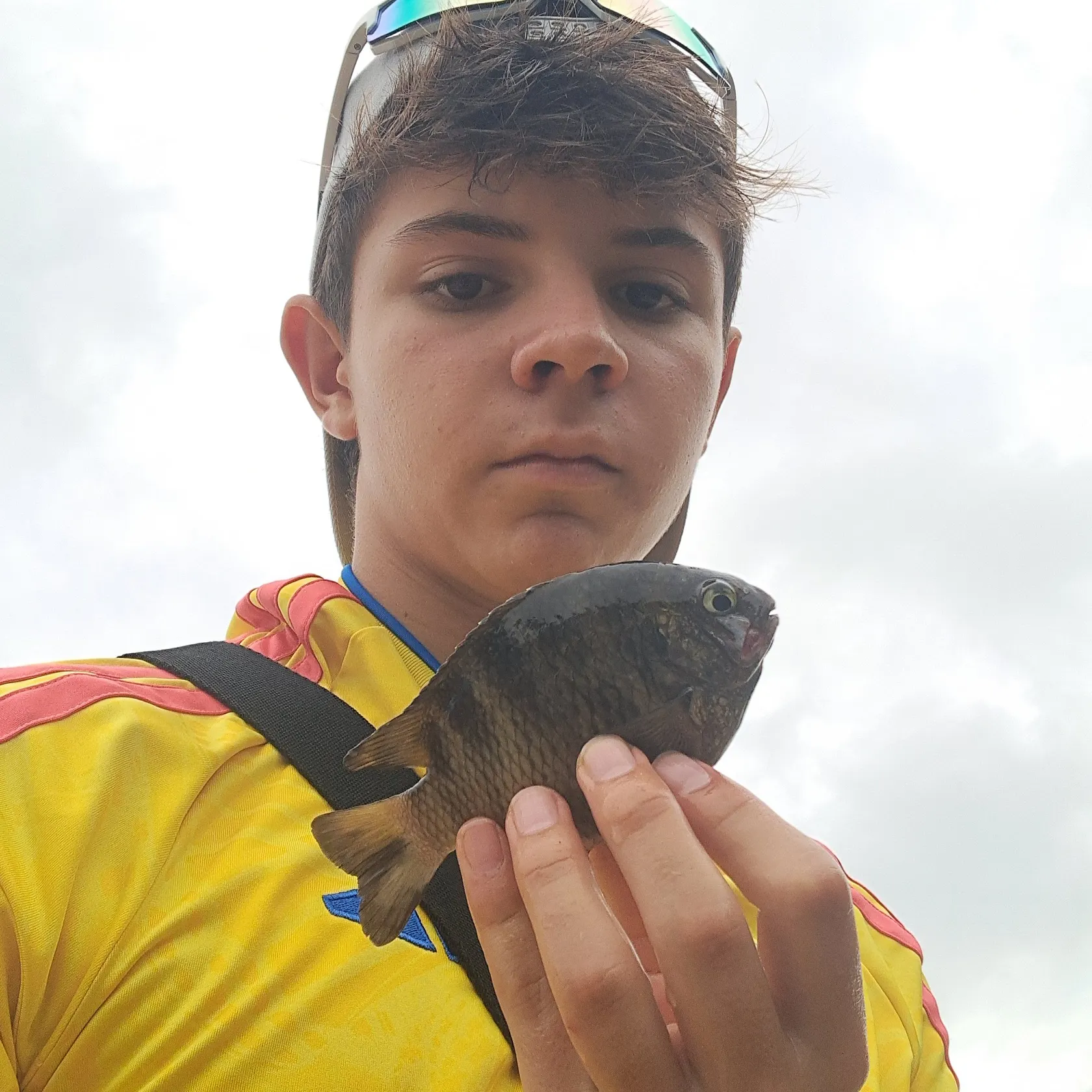 The most recent Irish mojarra catches on Fishbrain