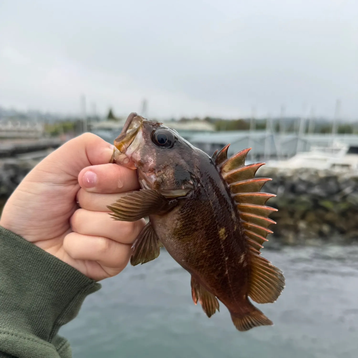 catch