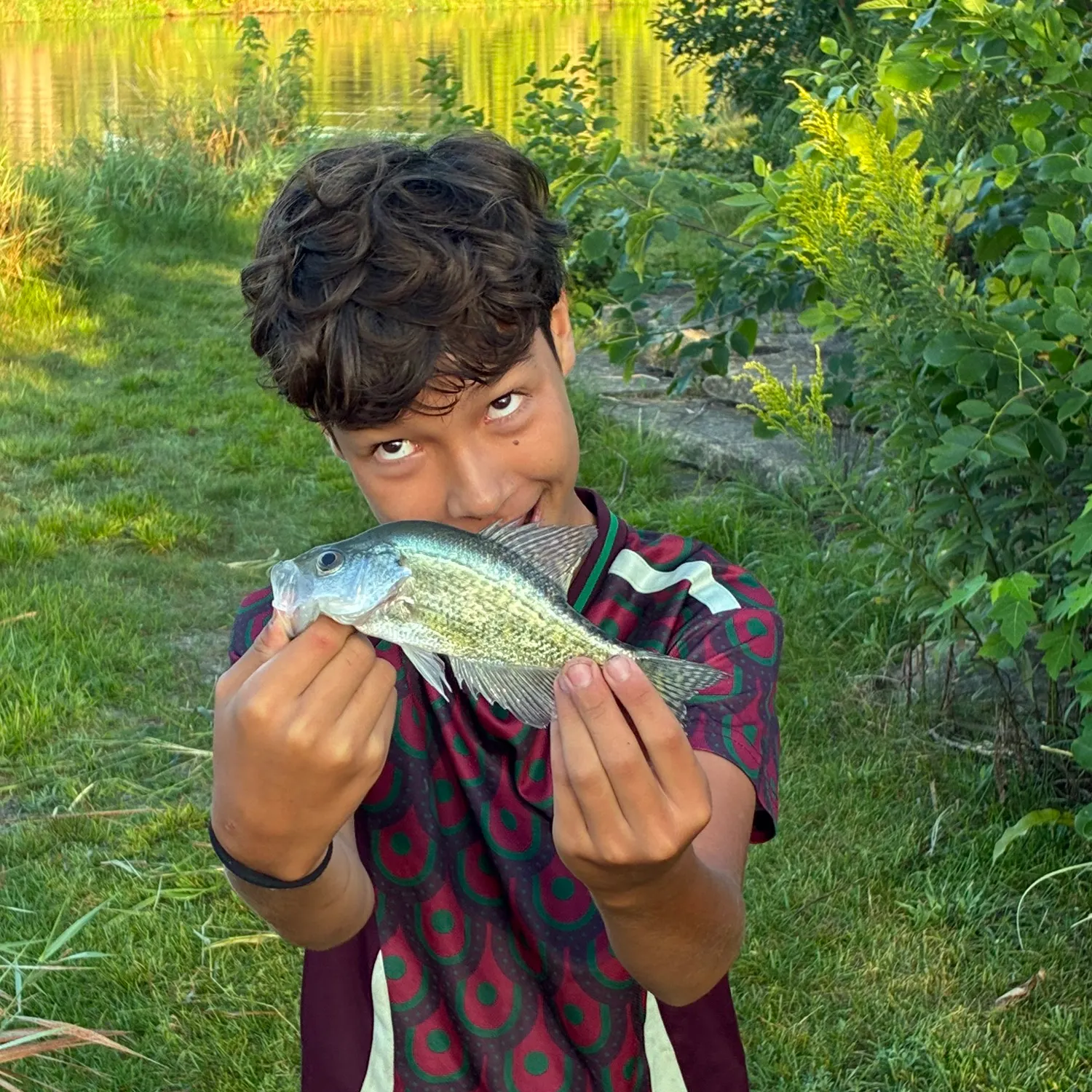 White crappie caught on Fishbrain