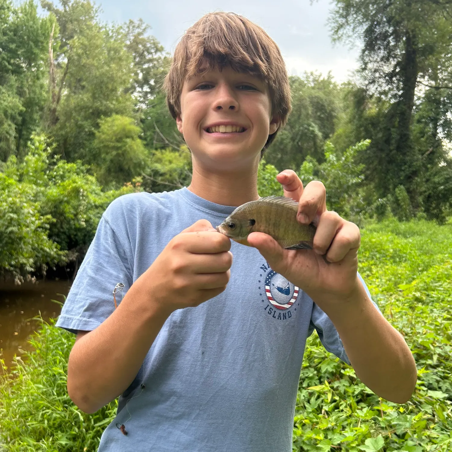 Bluegill caught on Fishbrain