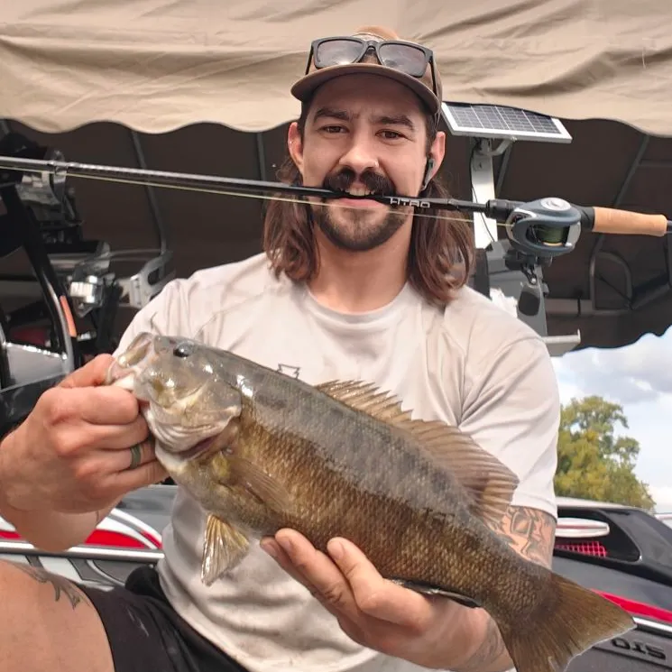 Smallmouth bass caught on Fishbrain