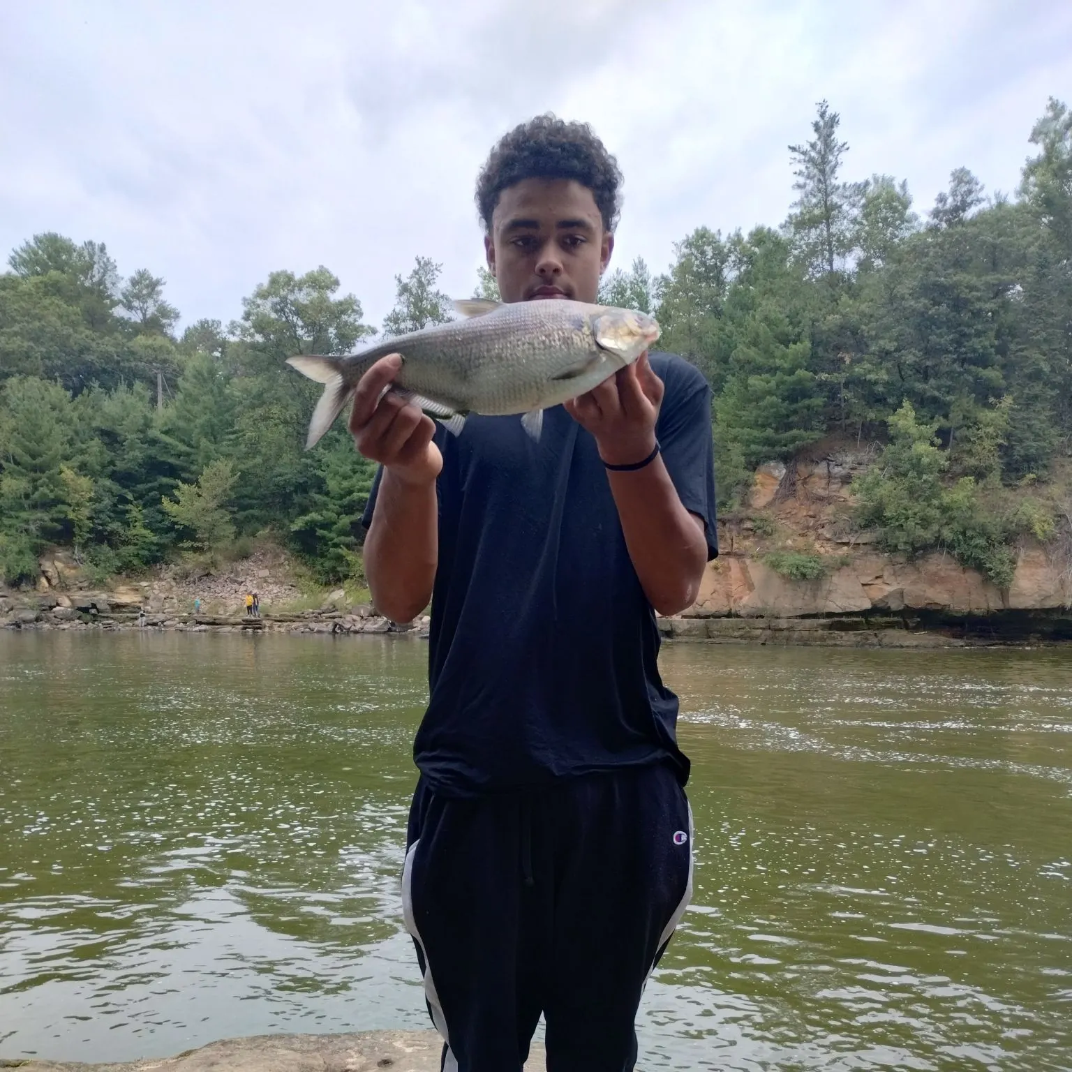 The most recent American gizzard shad catches on Fishbrain